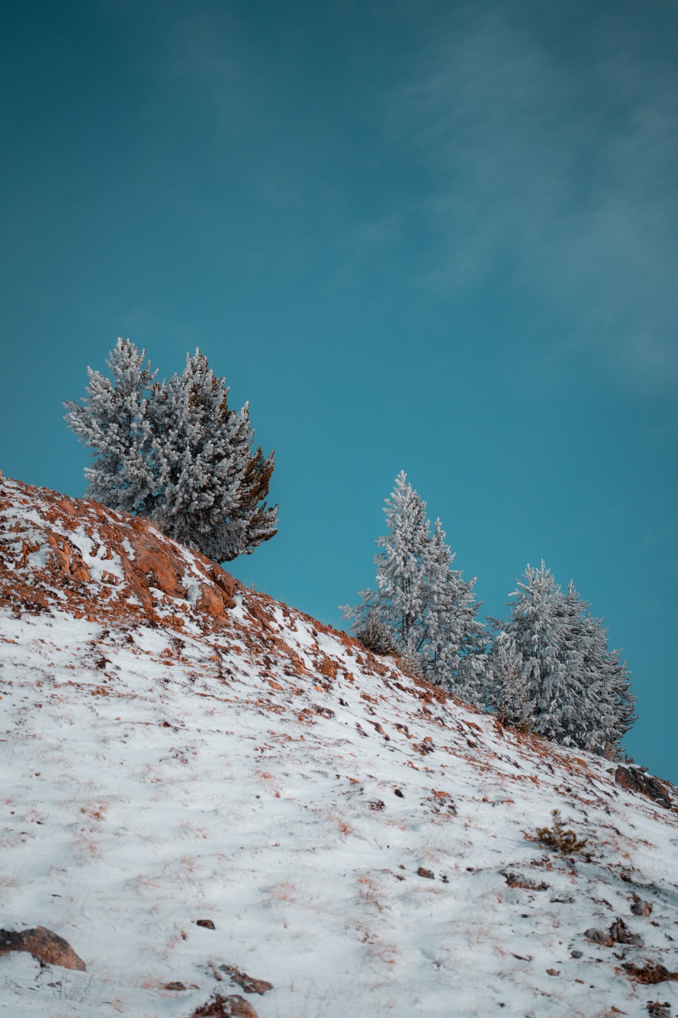 Guglia Rossa Bardonecchia — landscape — fotografia di Matteo Comba, Teonoir Studio (9/25)
