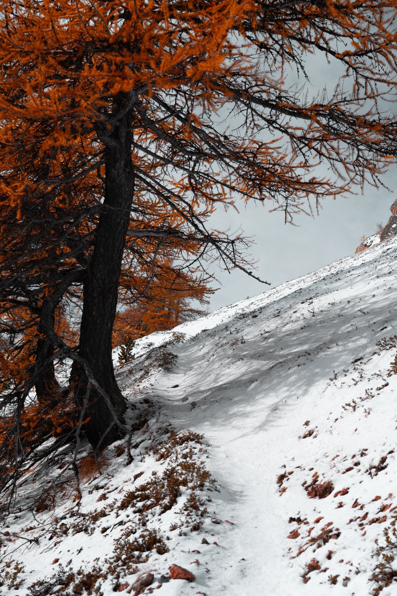 Guglia Rossa Bardonecchia — landscape — fotografia di Matteo Comba, Teonoir Studio (10/25)