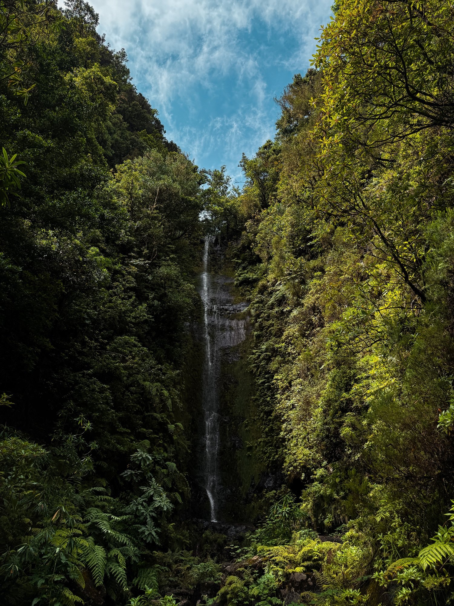 Madeira — landscape — fotografia di Matteo Comba, Teonoir Studio (91/91)