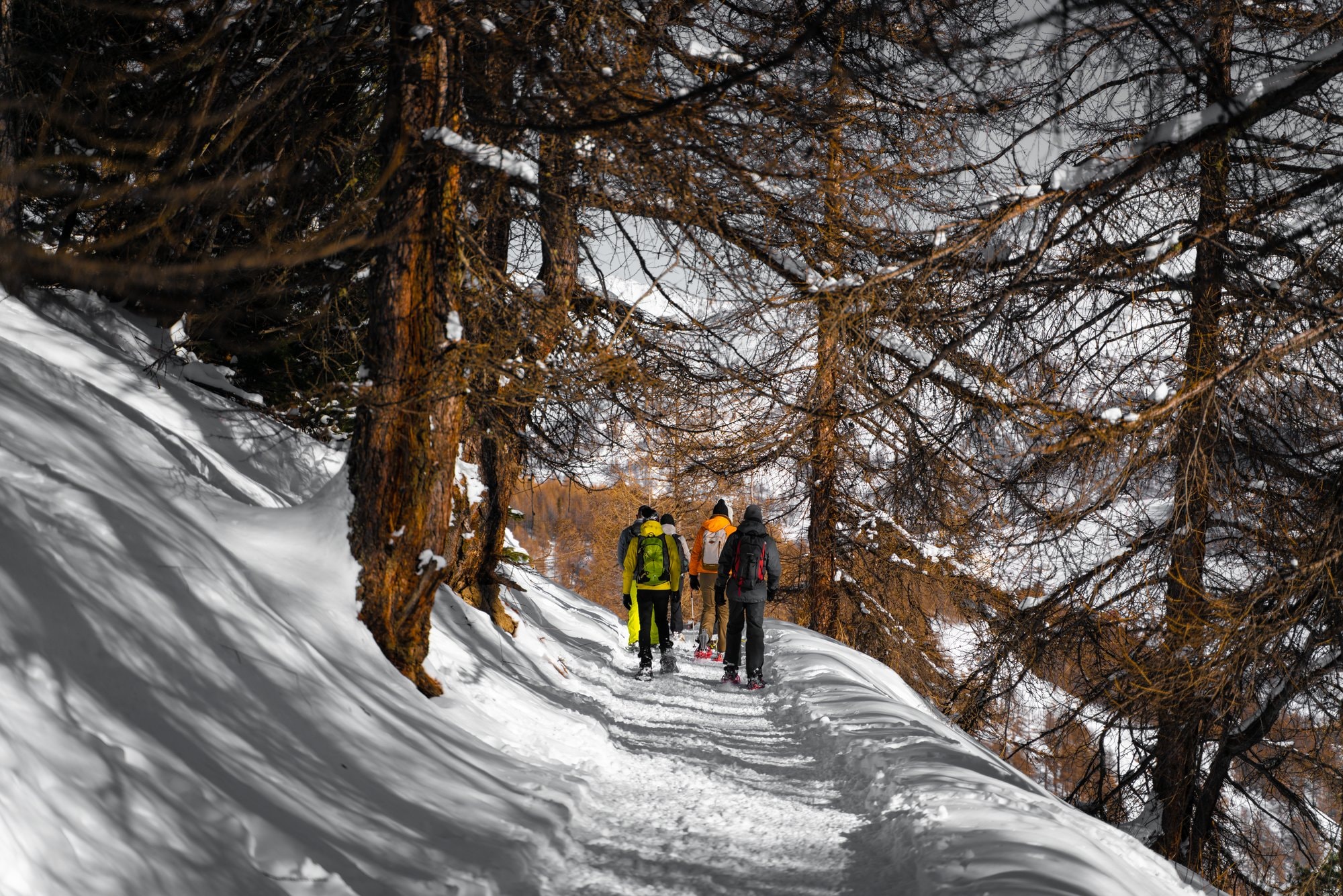 Sestriere — landscape — fotografia di Matteo Comba, Teonoir Studio (7/7)