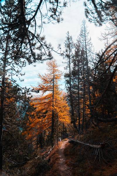 Photography Guglia Rossa Bardonecchia — Matteo Comba