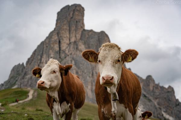 Photography Trentino — Matteo Comba