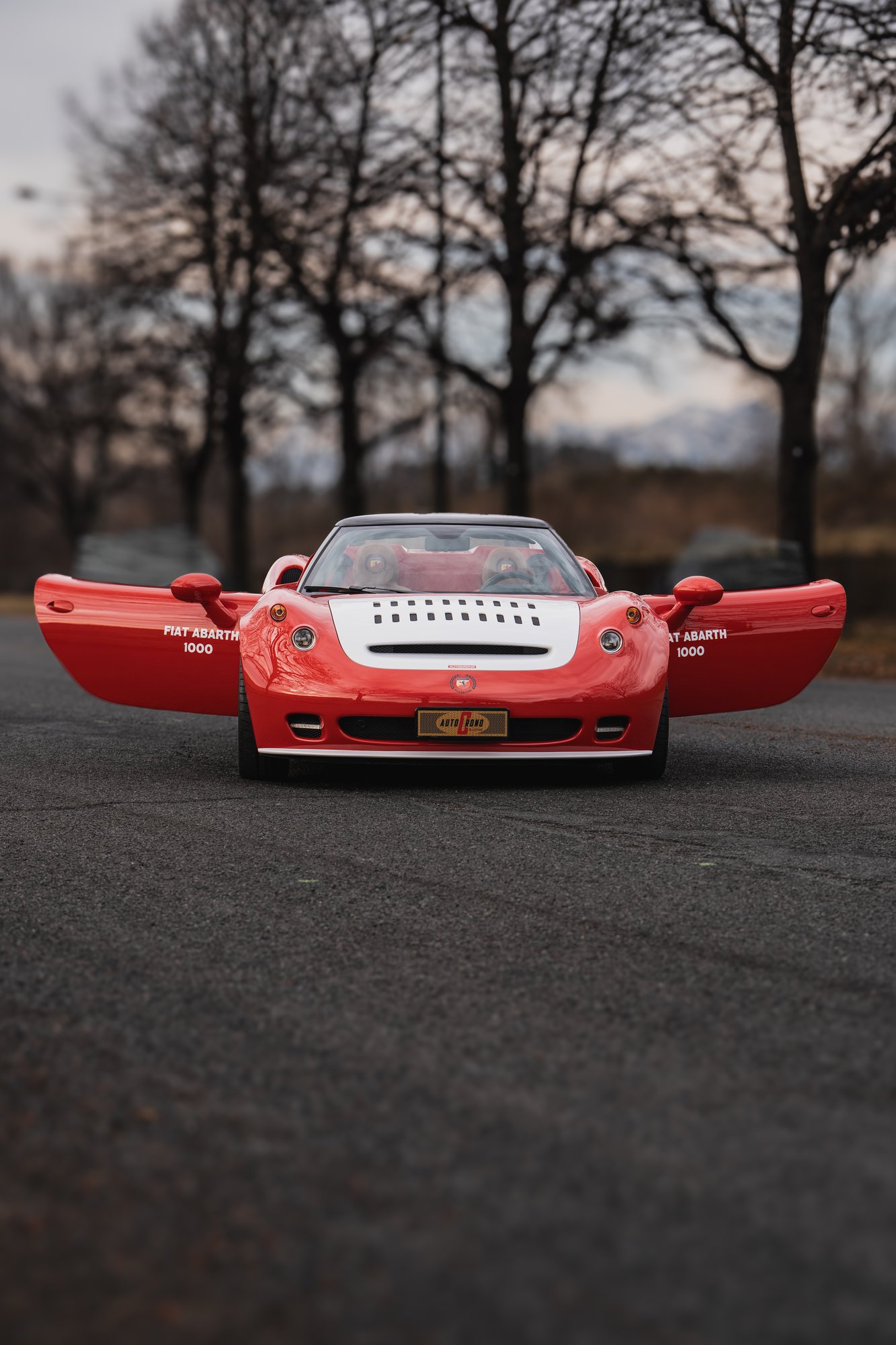 Abarth SP1000 - 30