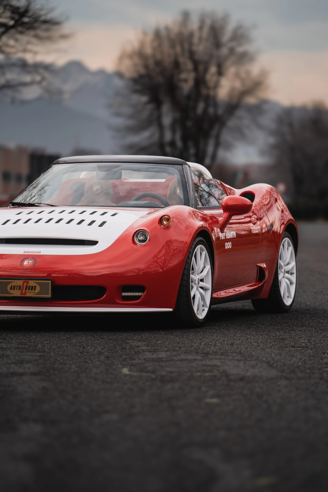 Abarth SP1000 - 33