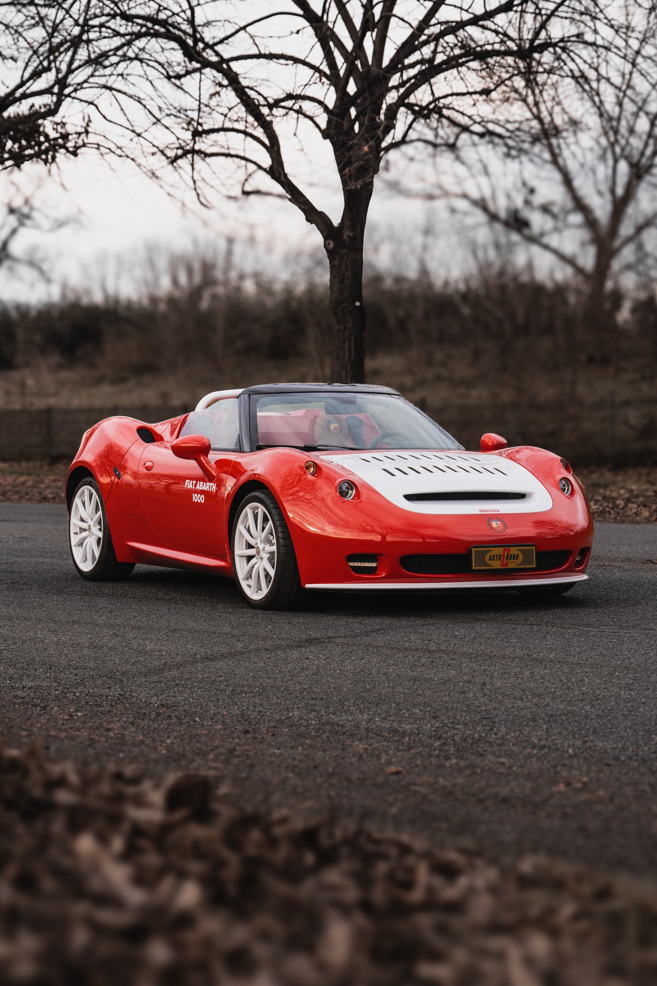 Abarth SP1000 - 50