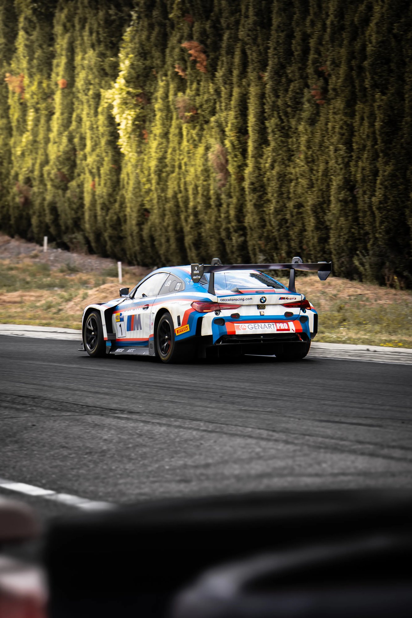 BMW GT3  - Farfus - 5