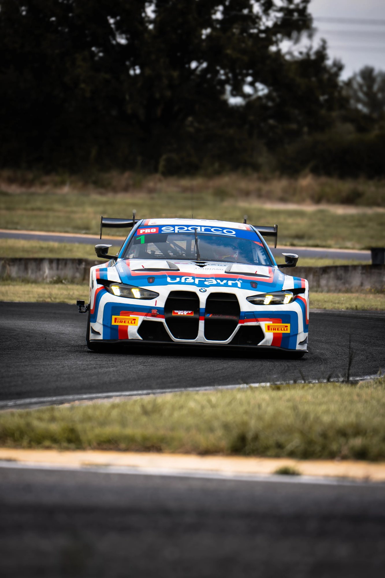 BMW GT3  - Farfus - 9