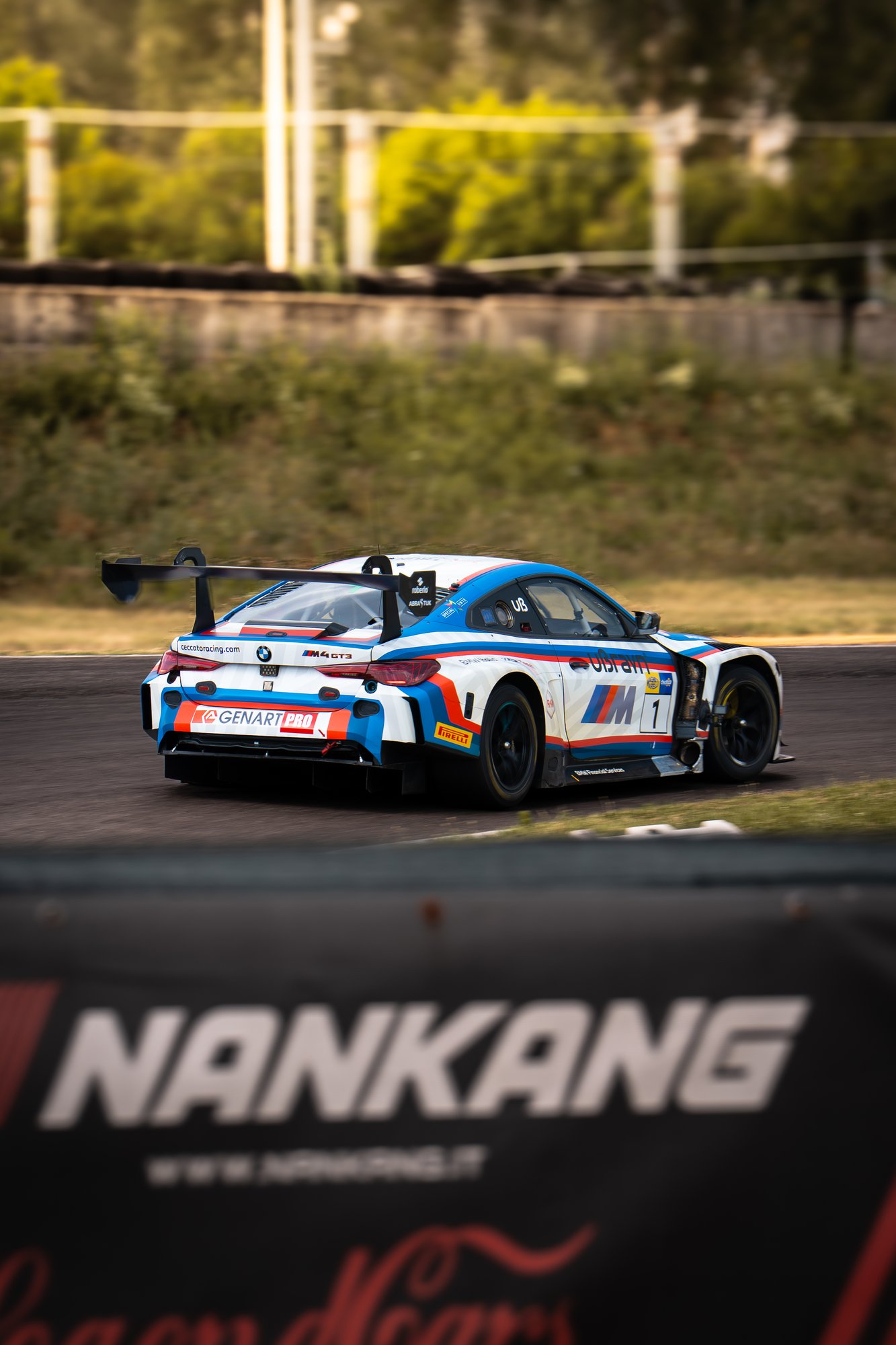 BMW GT3  - Farfus - 12