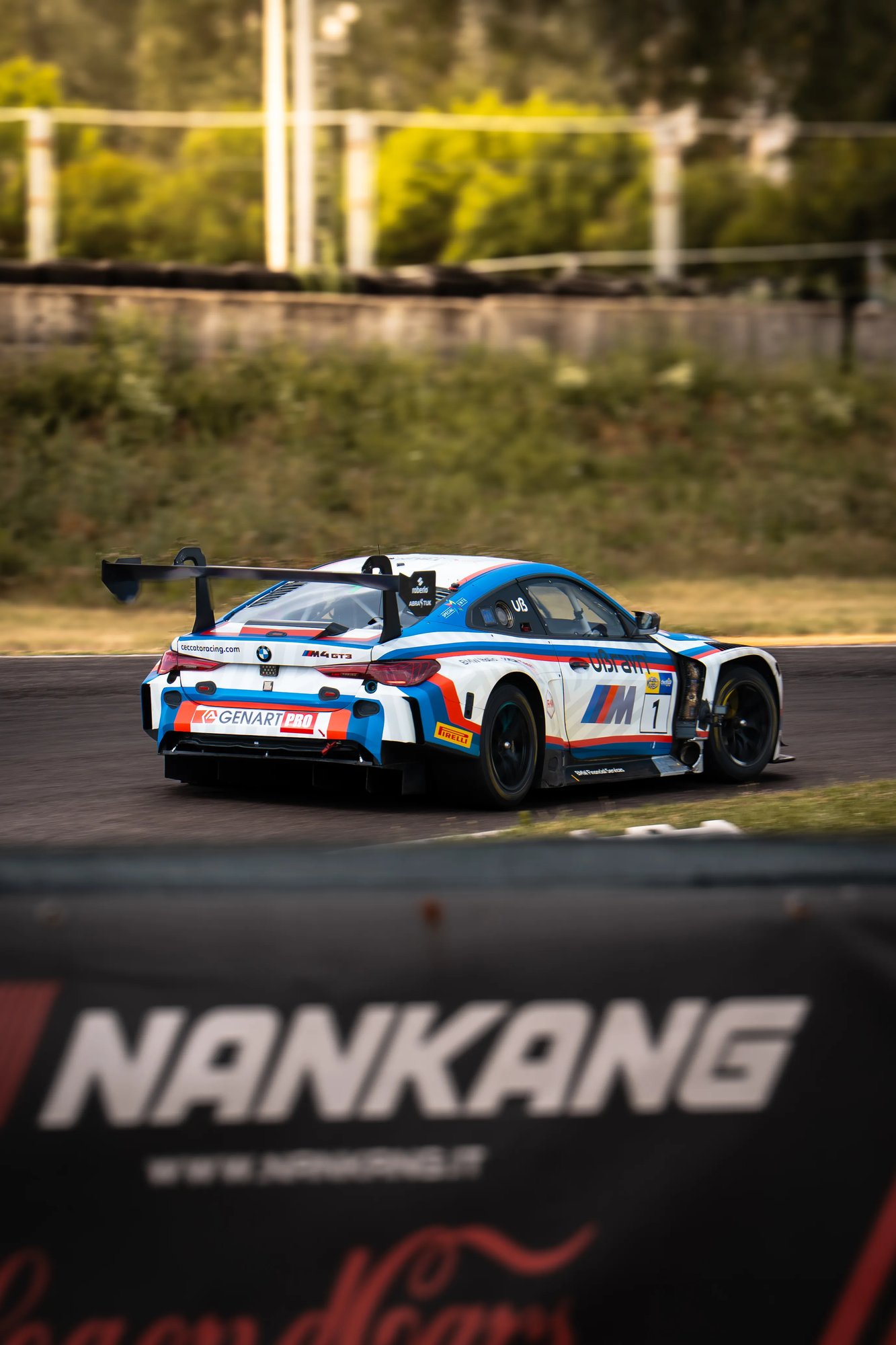 BMW GT3  - Farfus - 13