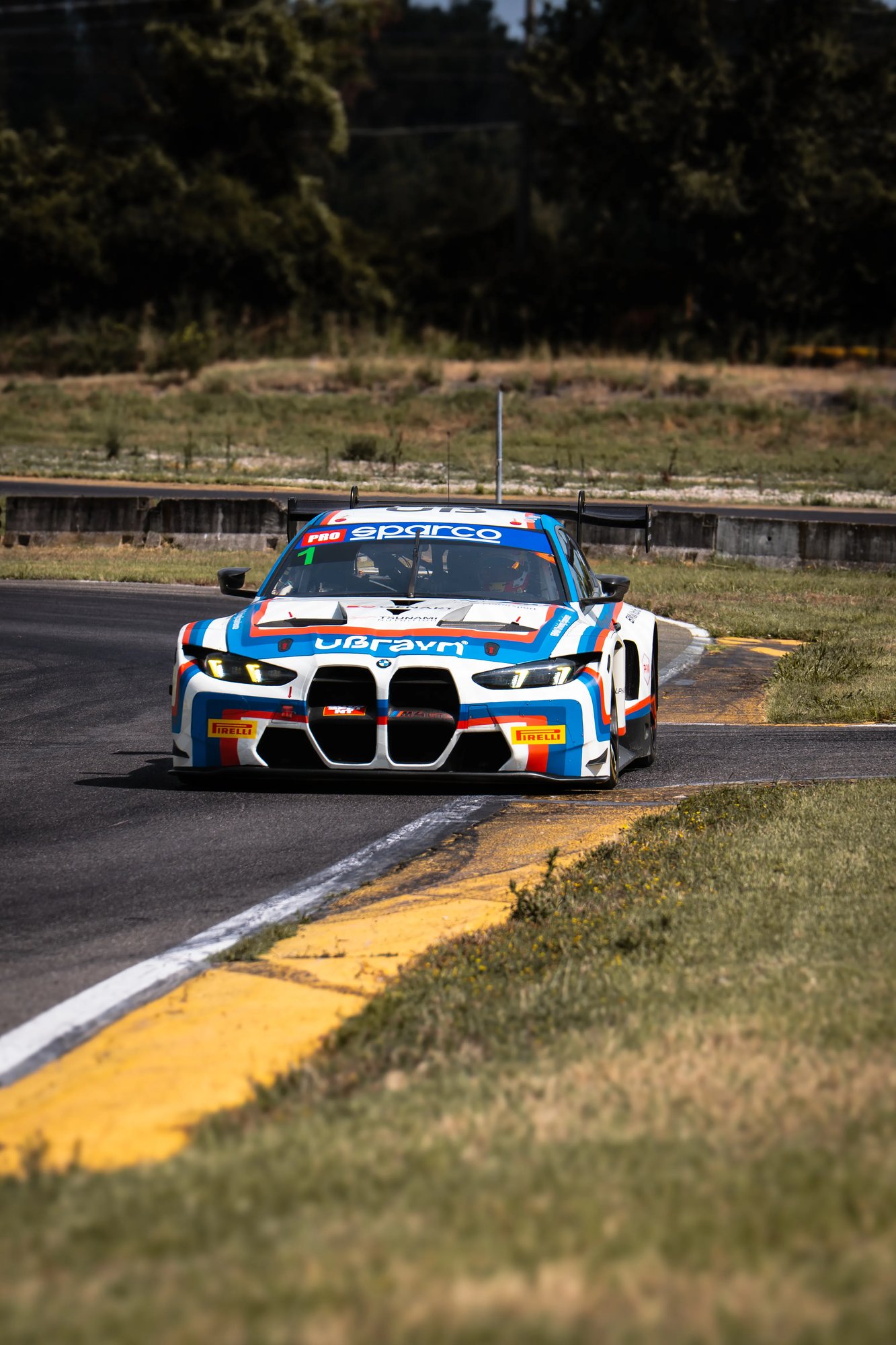BMW GT3  - Farfus - 15