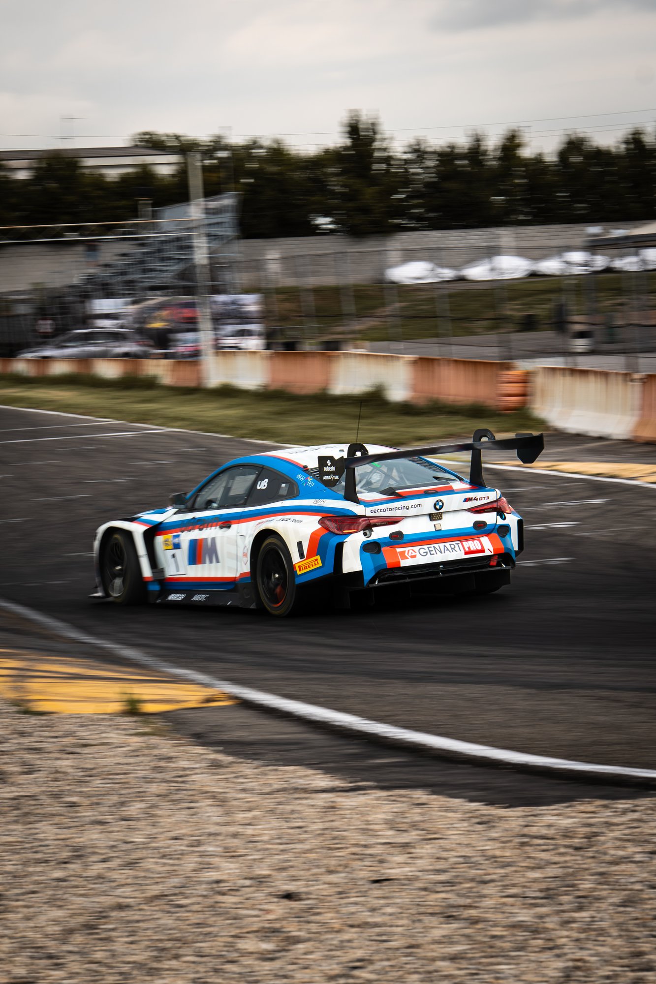 BMW GT3  - Farfus - 18