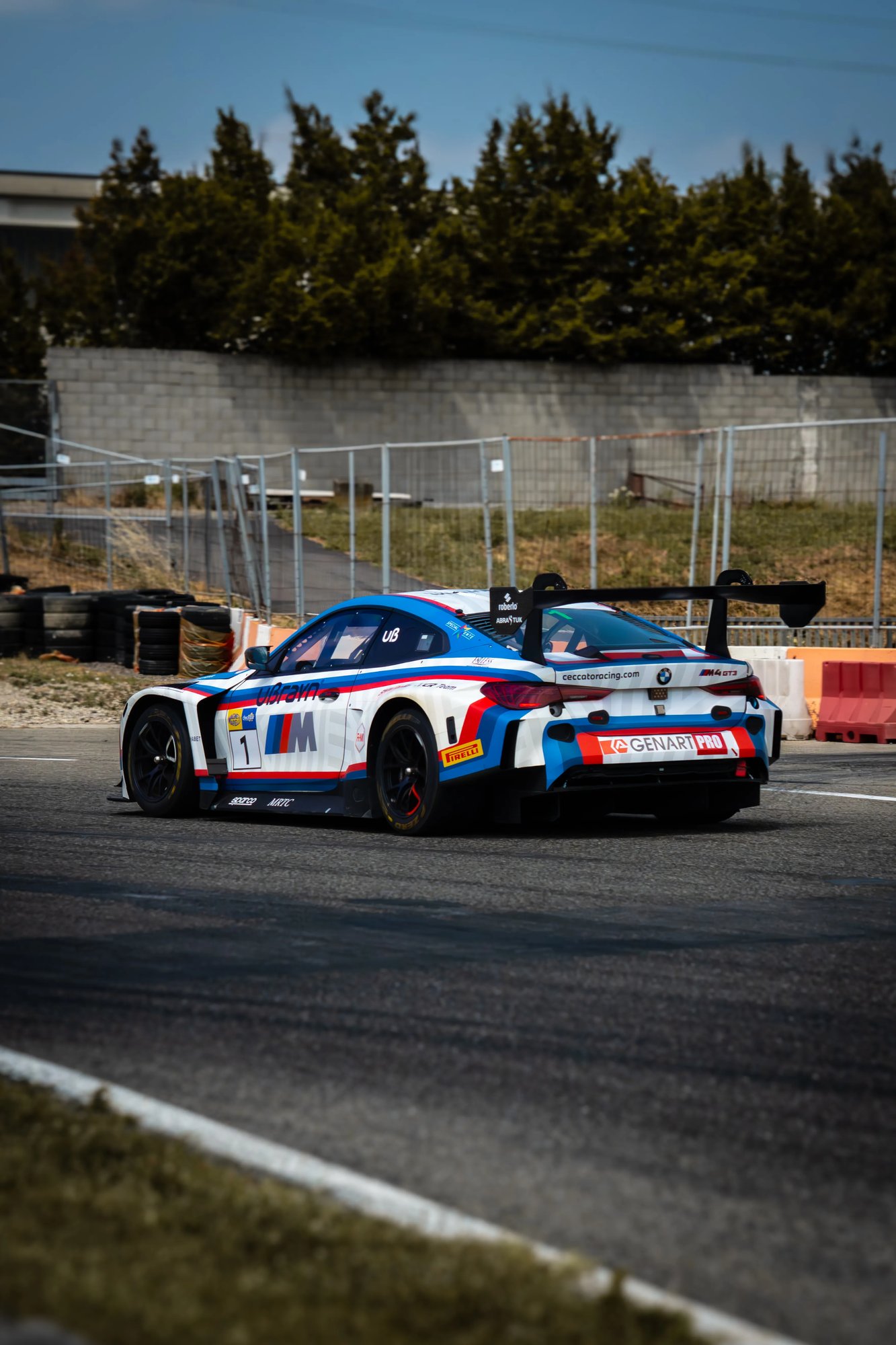BMW GT3  - Farfus - 53