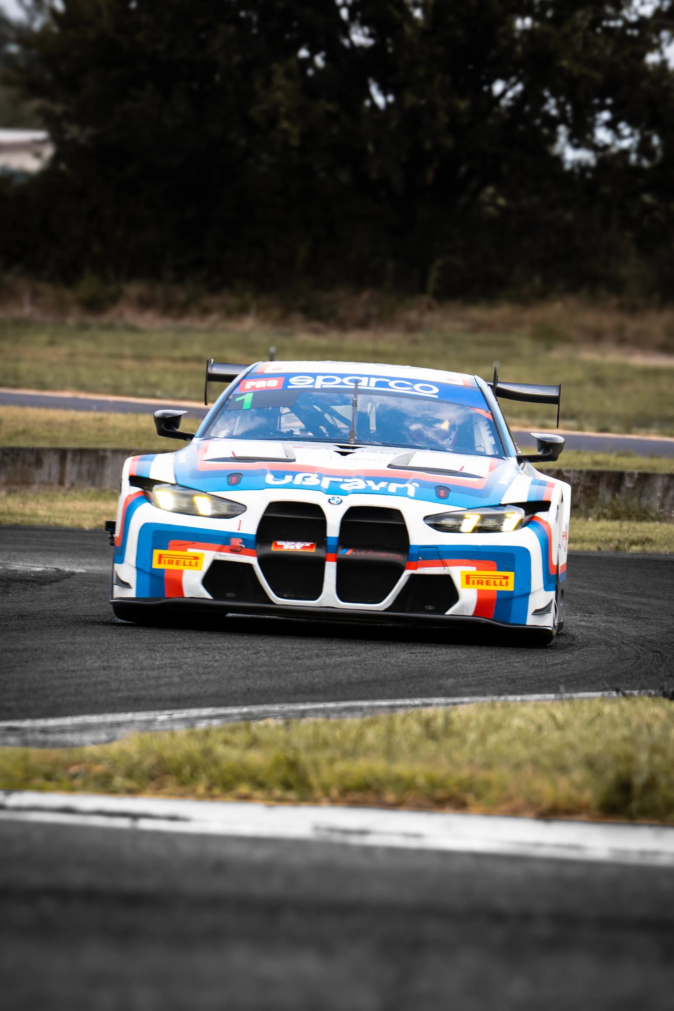 BMW GT3  - Farfus - 83