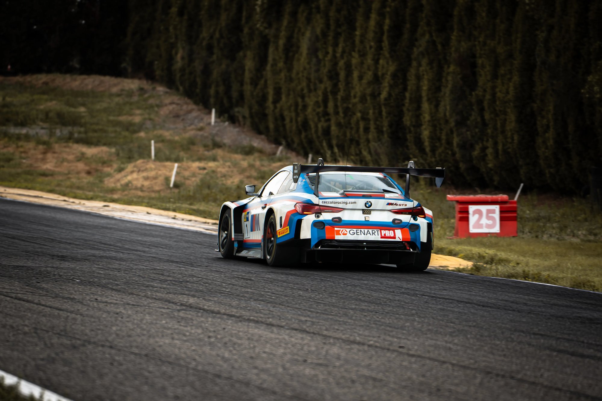 BMW GT3  - Farfus - 1