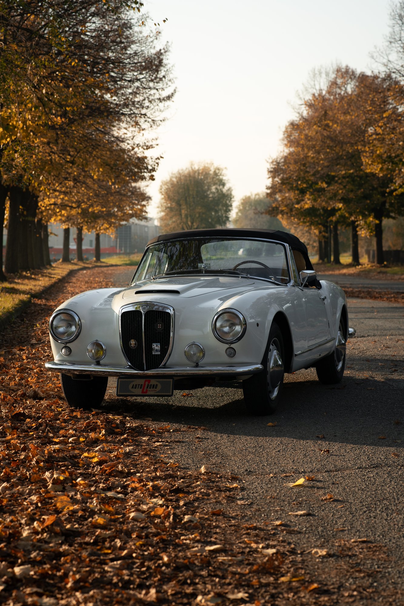 Lancia Aurelia - 24