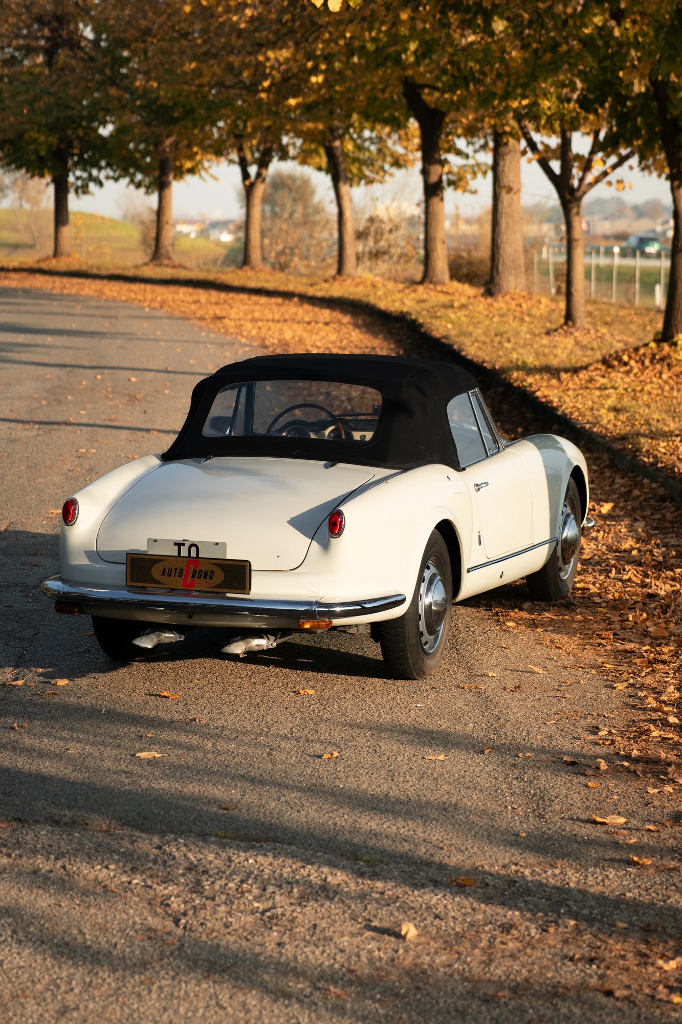 Lancia Aurelia - 49
