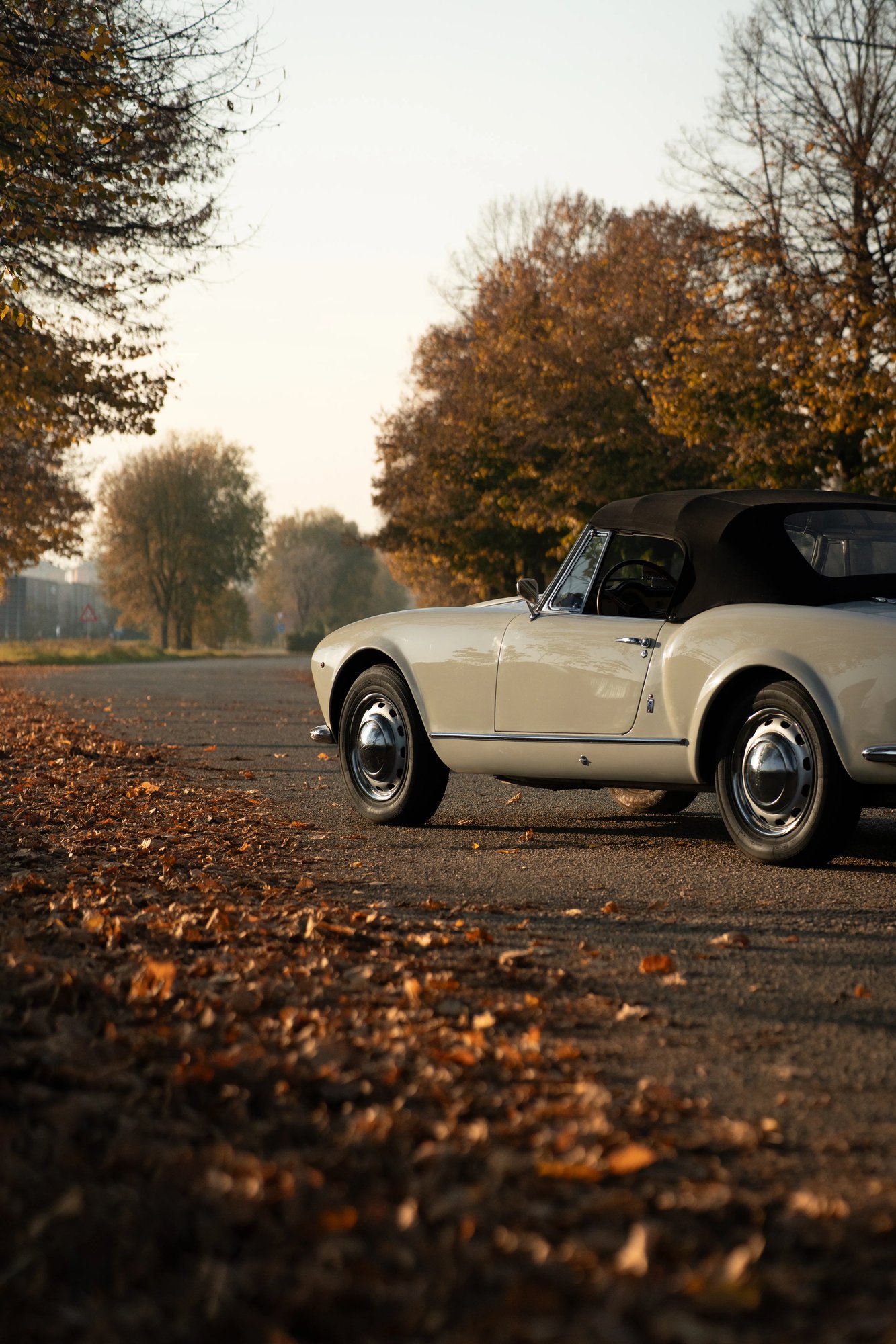 Lancia Aurelia - 53