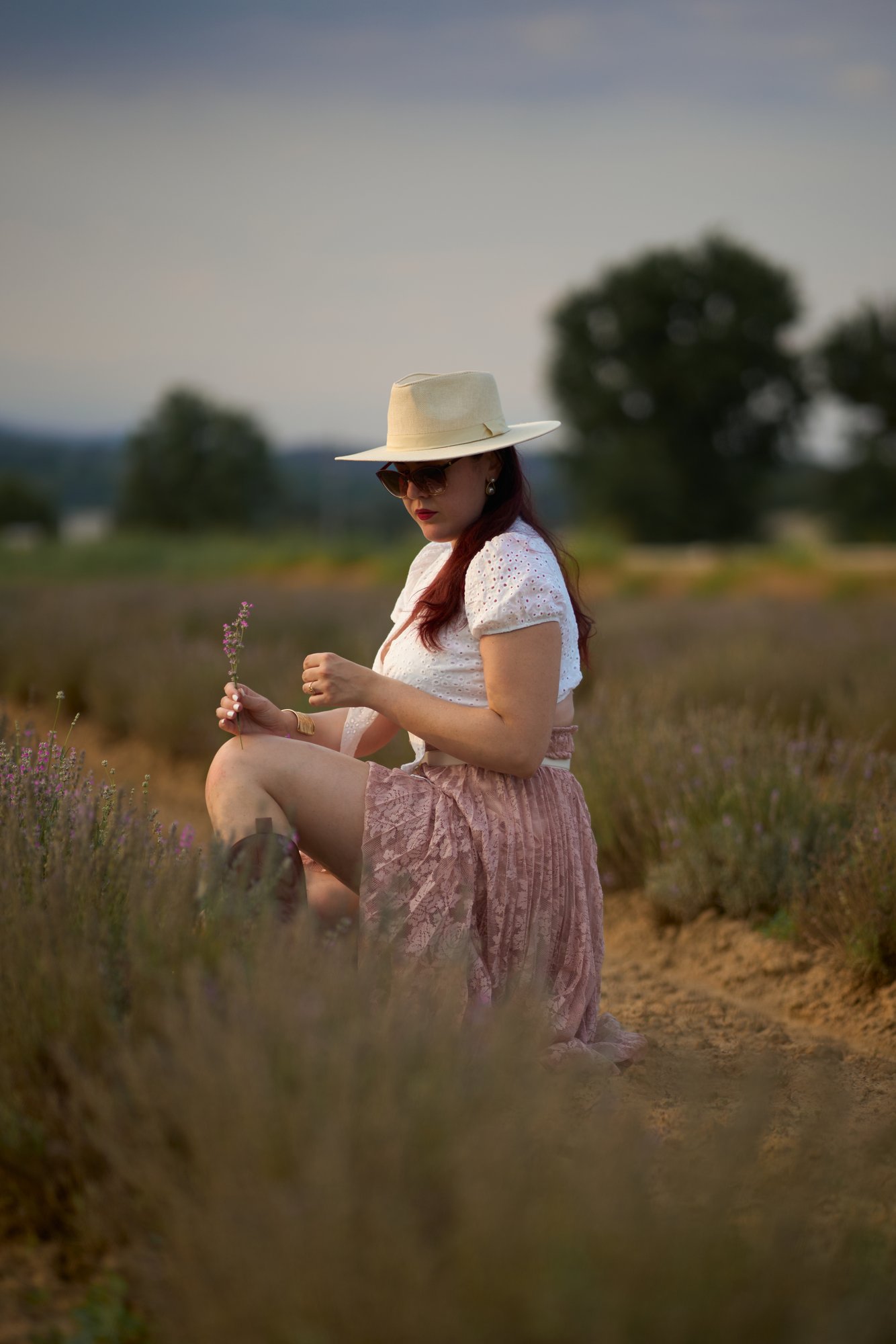 Lavanda - 2