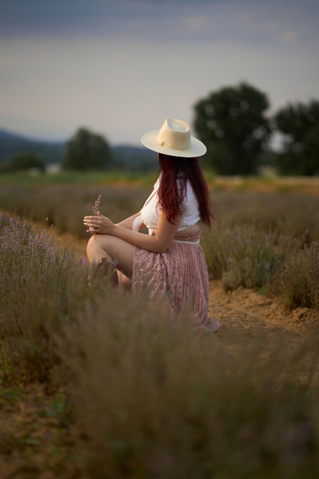 Lavanda - 4