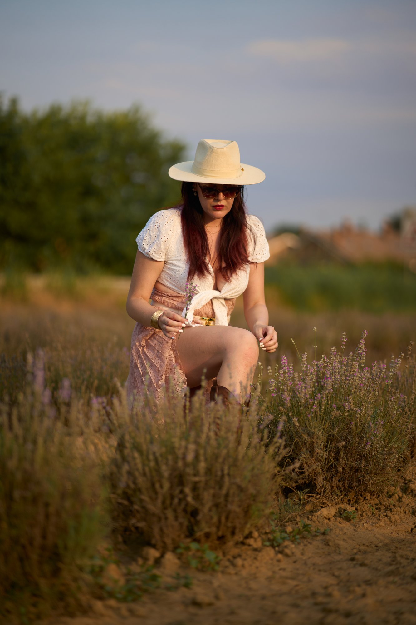 Lavanda - 14