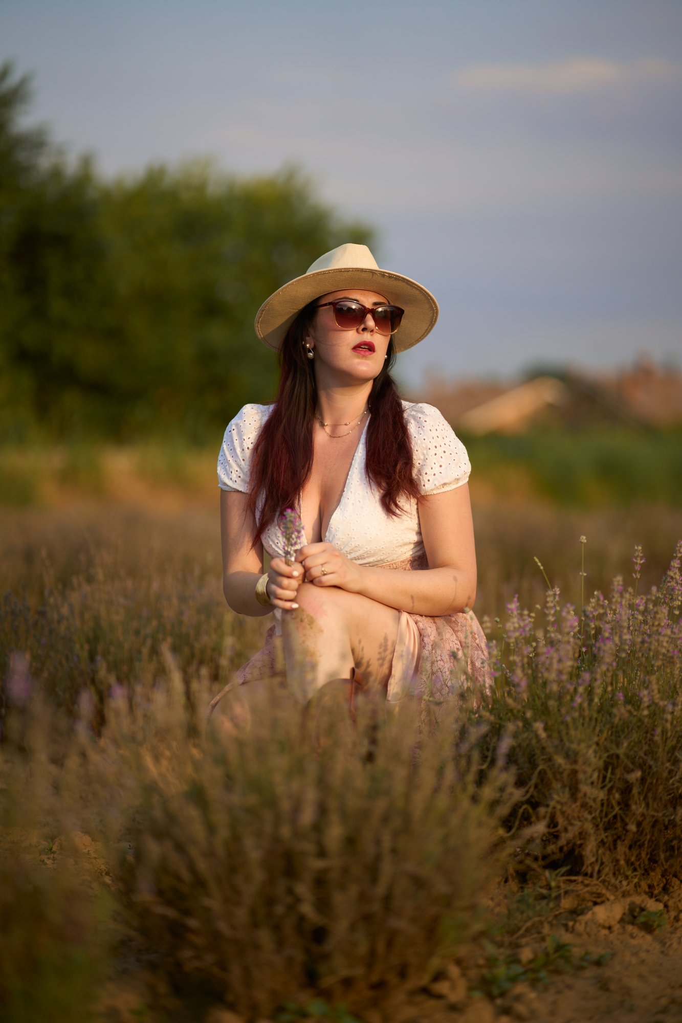 Lavanda - 16
