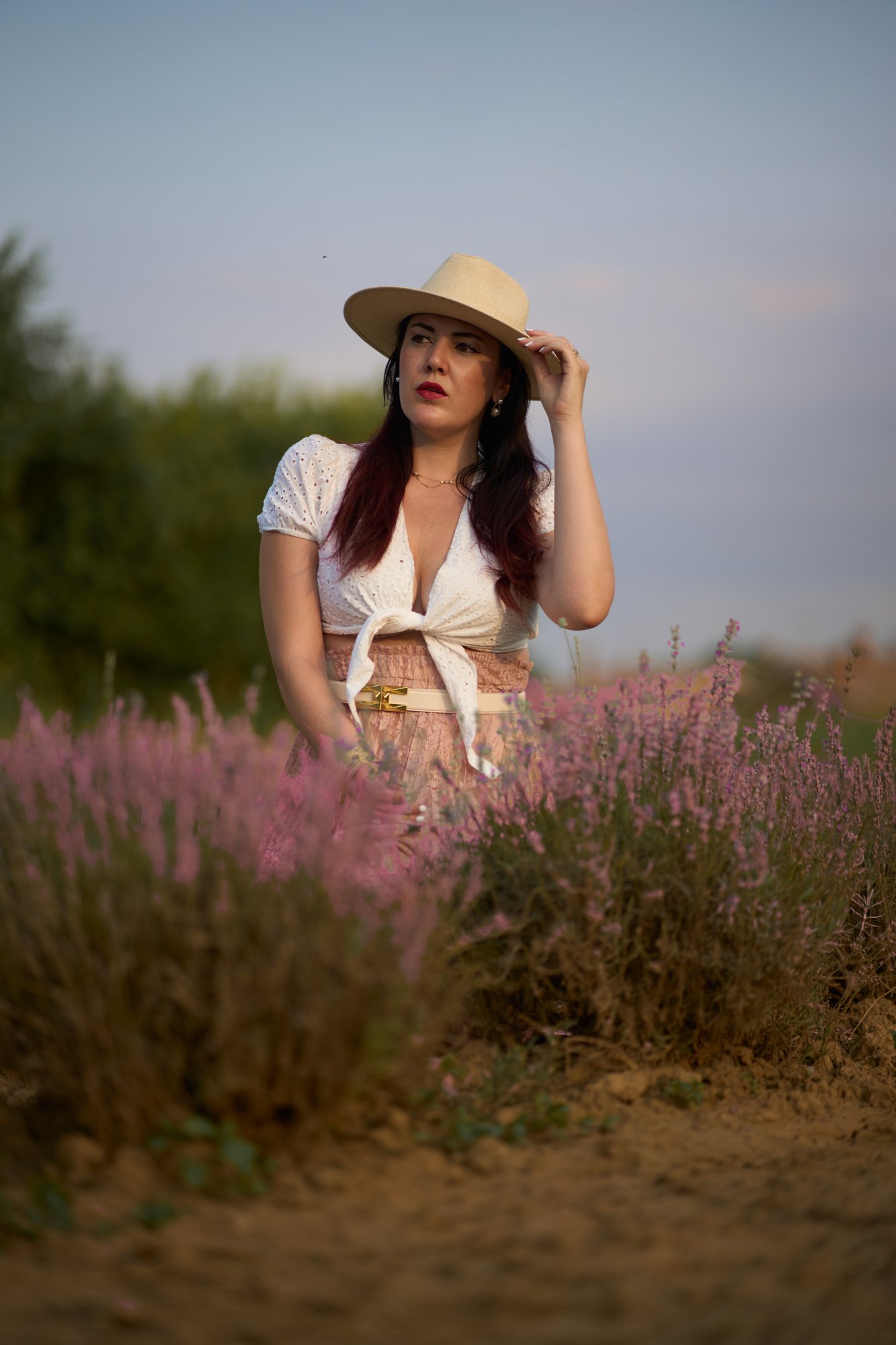 Lavanda - 30