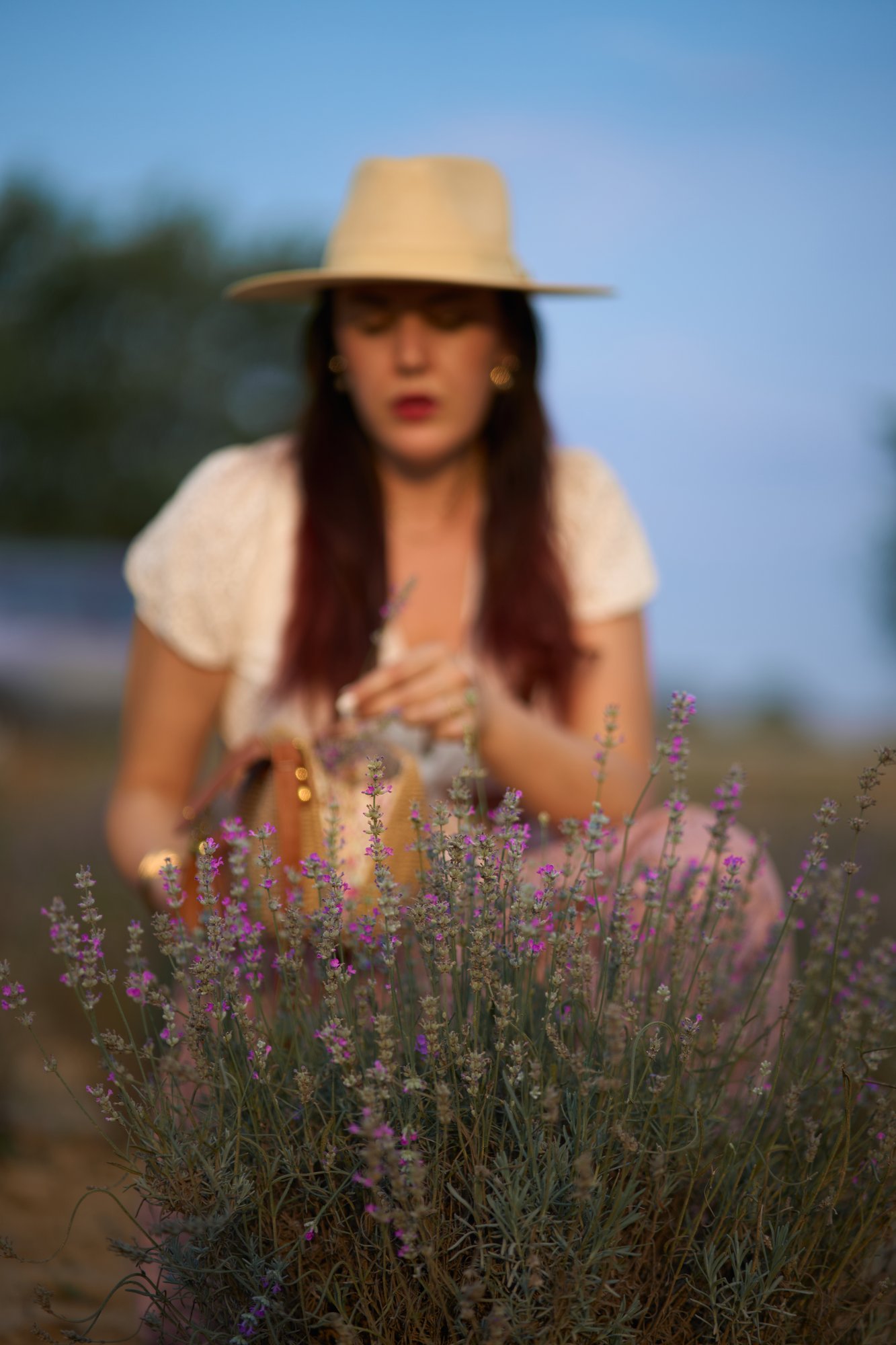 Lavanda - 32