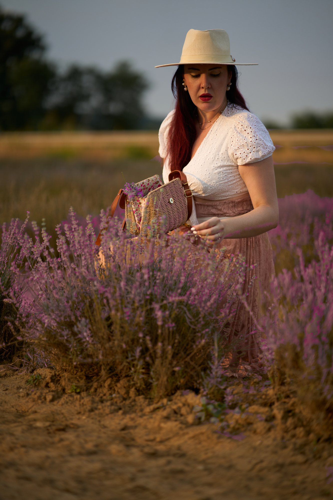 Lavanda - 34