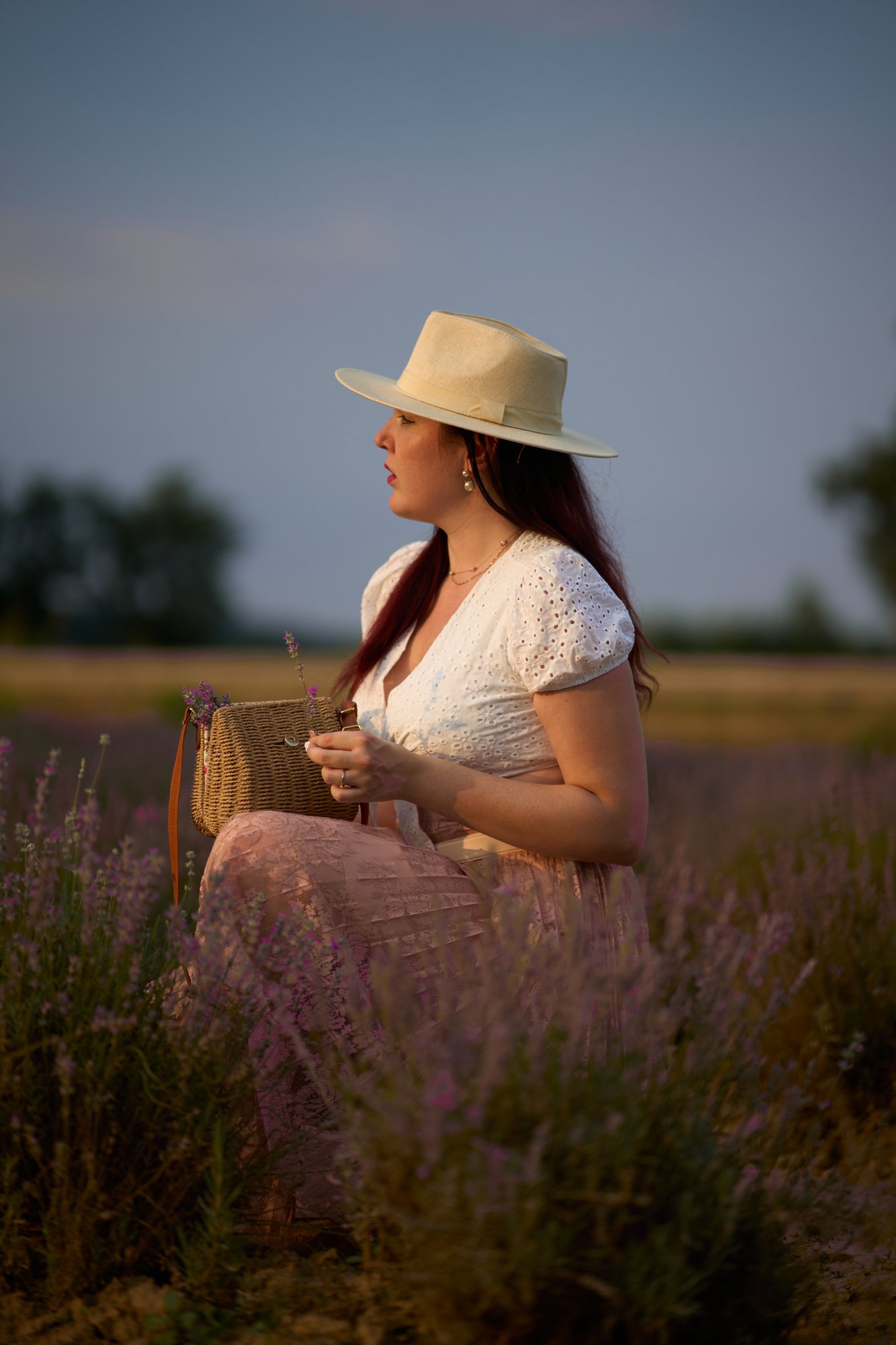 Lavanda - 40