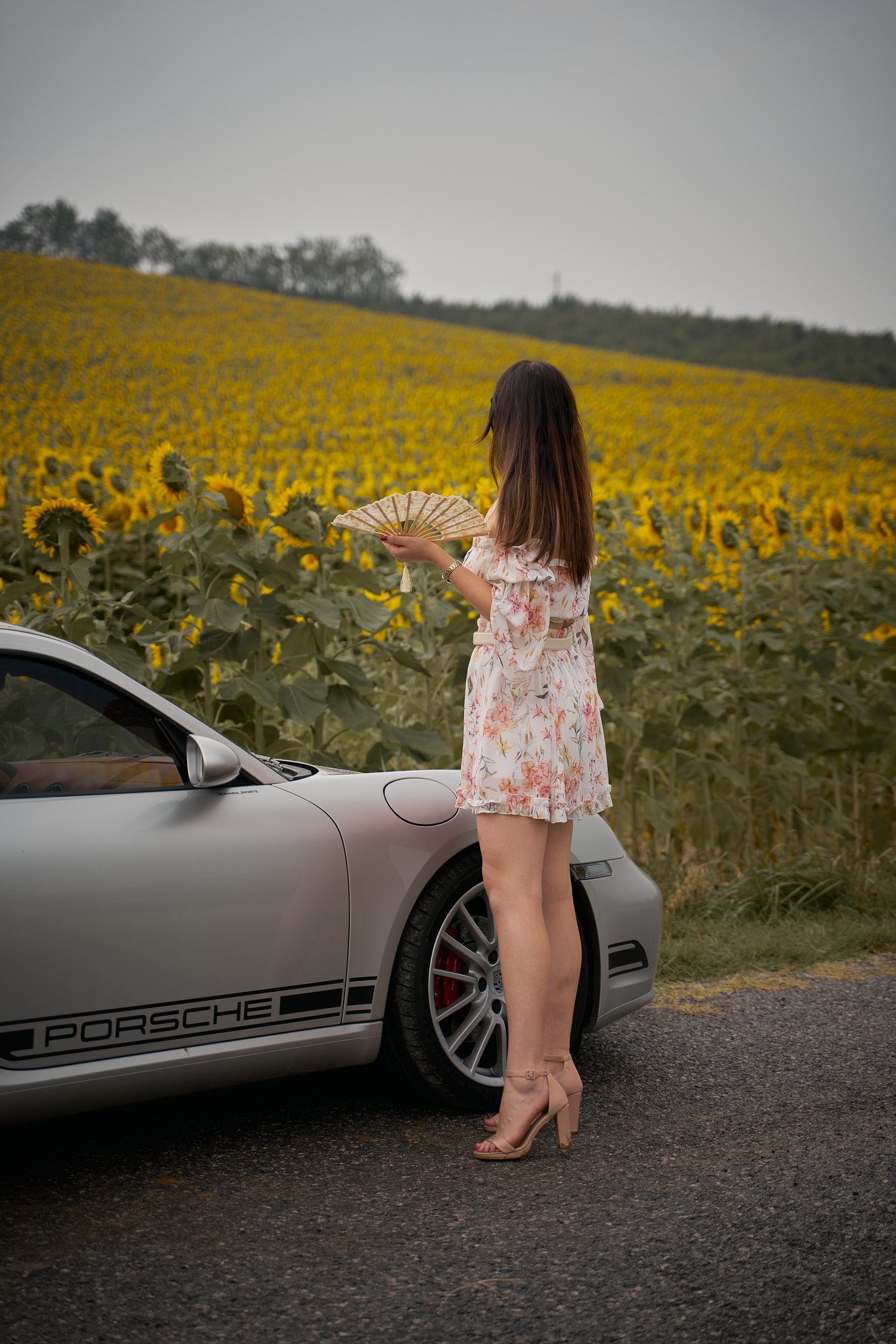 Porsche Langhe - 2