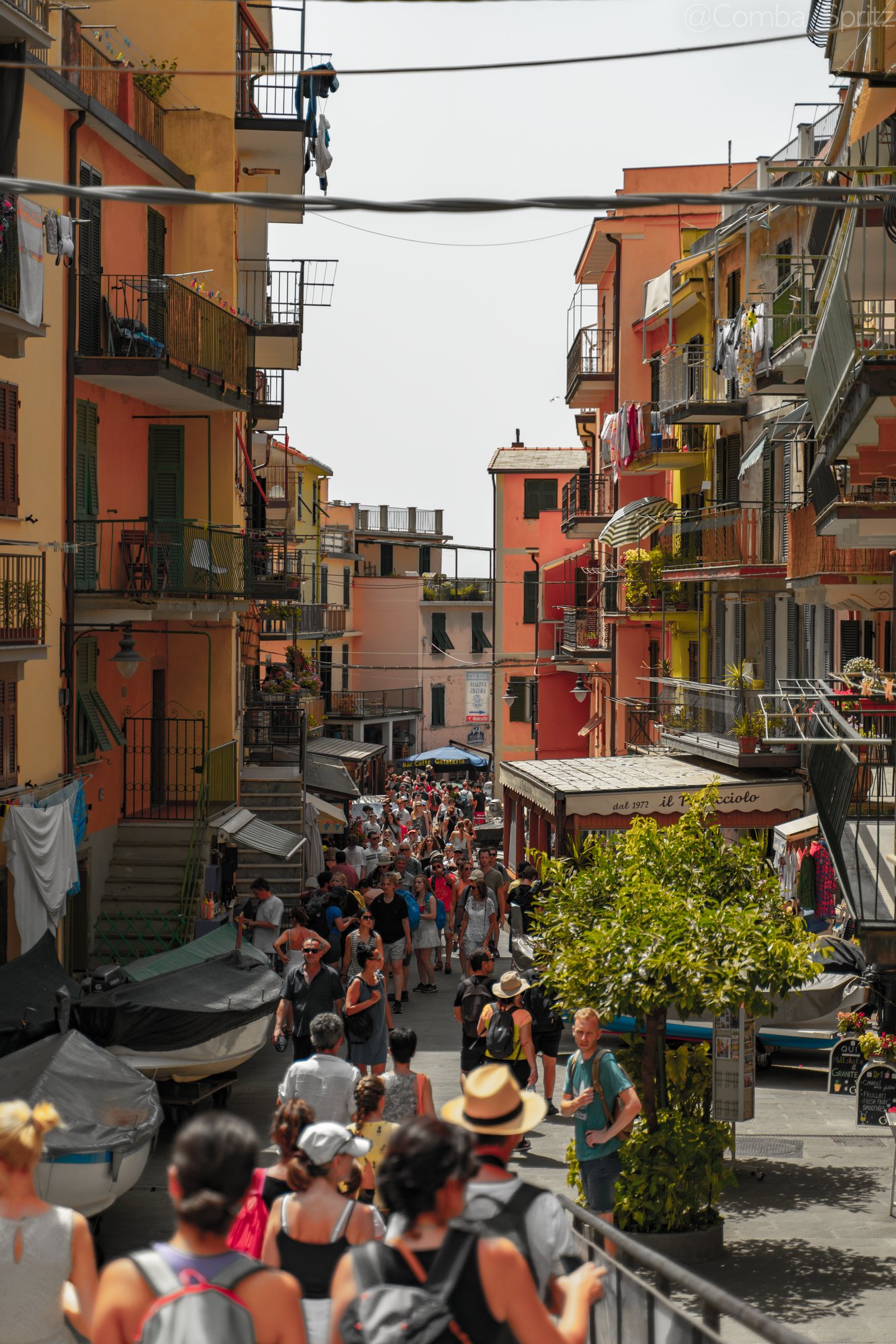 Cinque Terre - 1