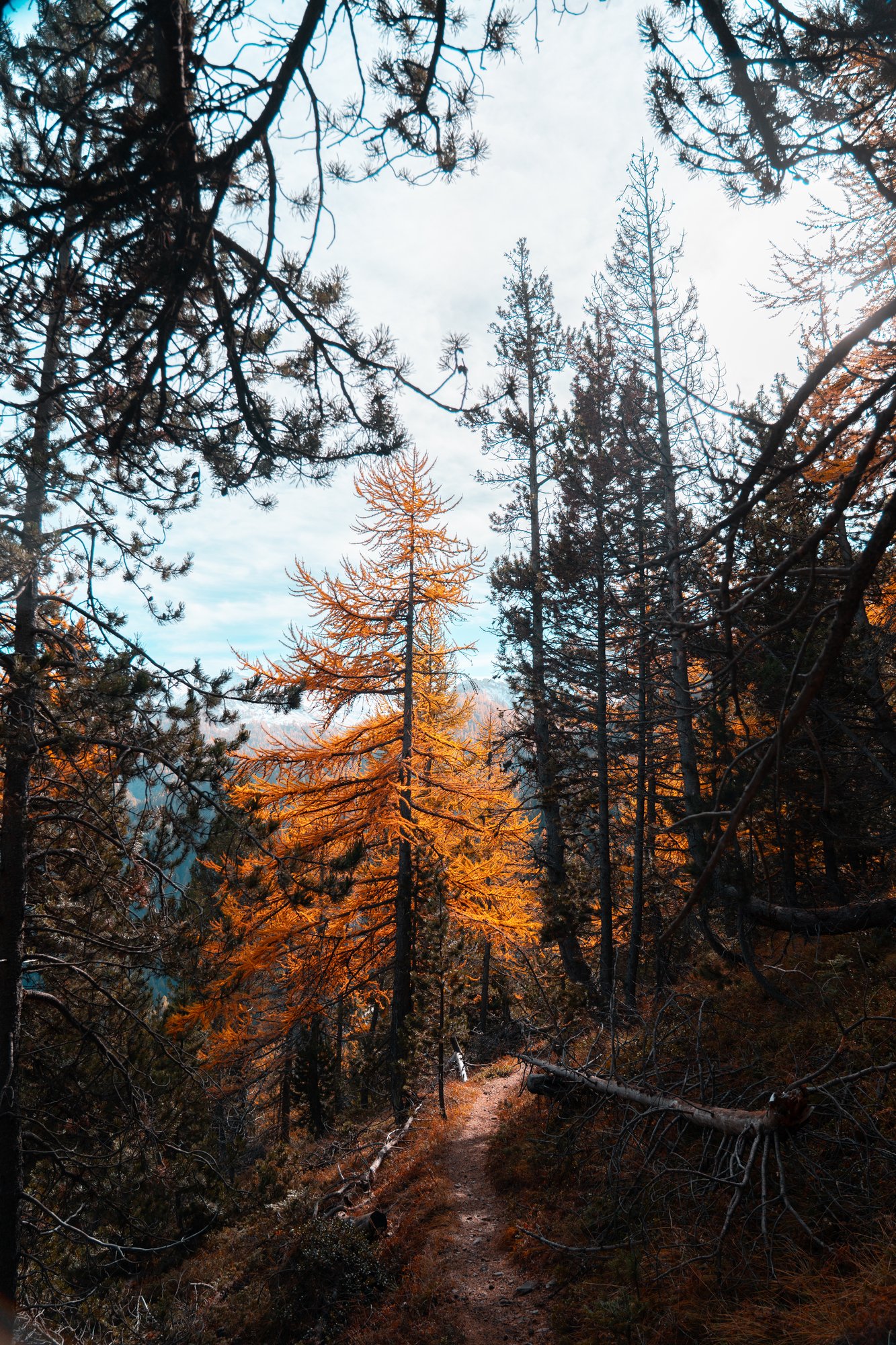 Photography Guglia Rossa Bardonecchia — Matteo Comba