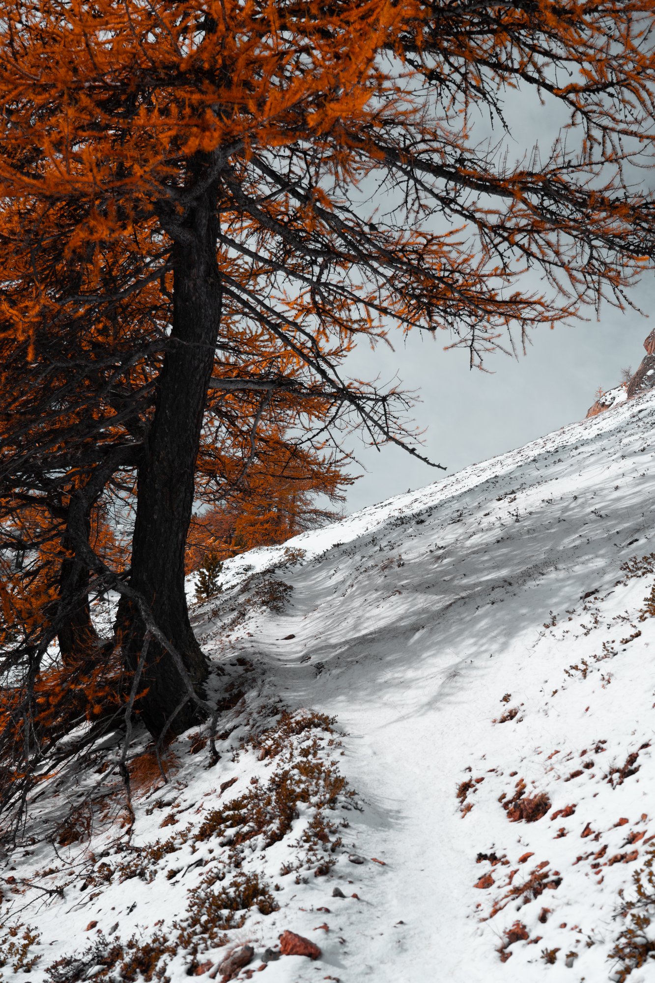 Guglia Rossa Bardonecchia - 9
