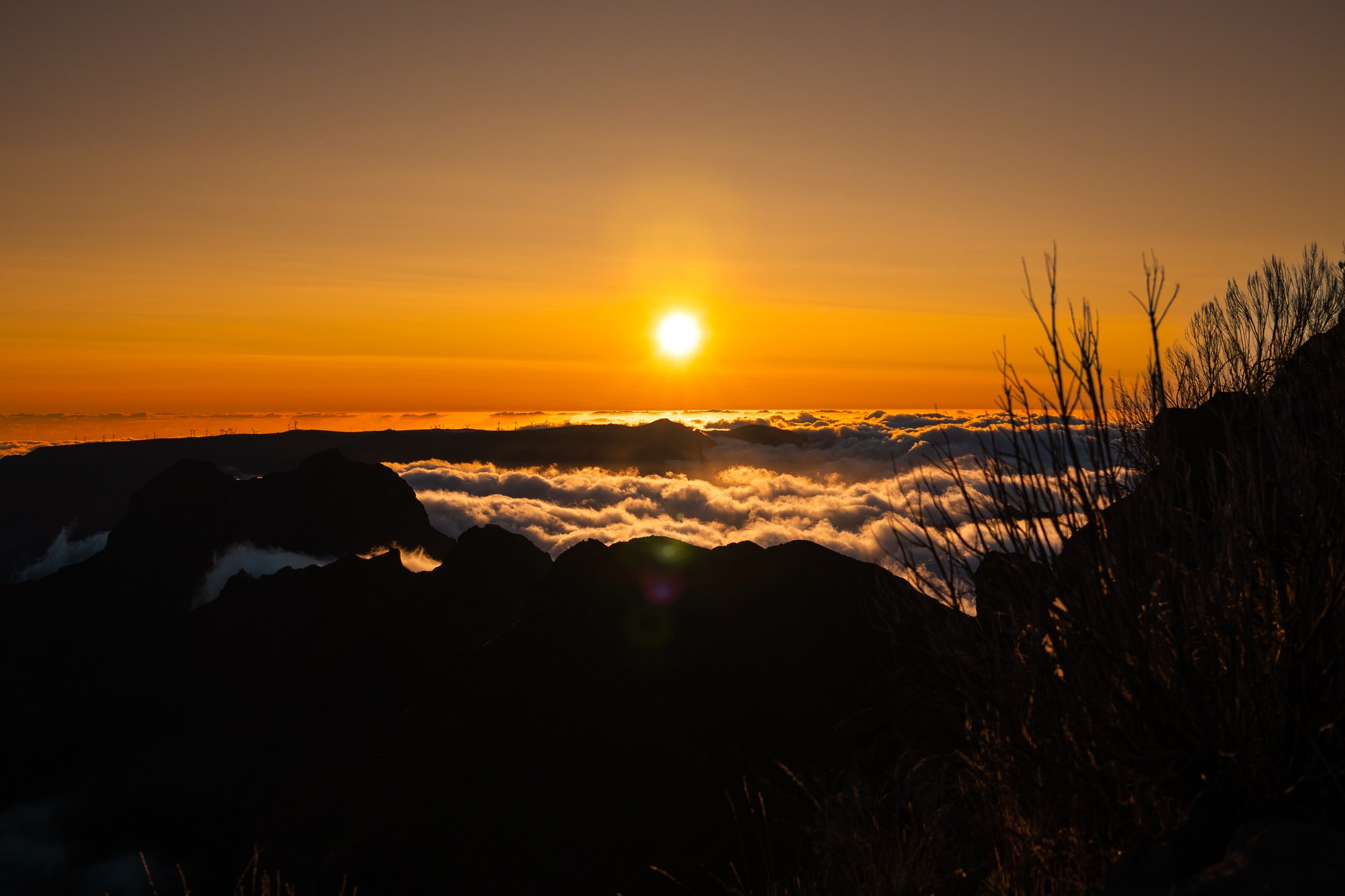 Madeira - 8