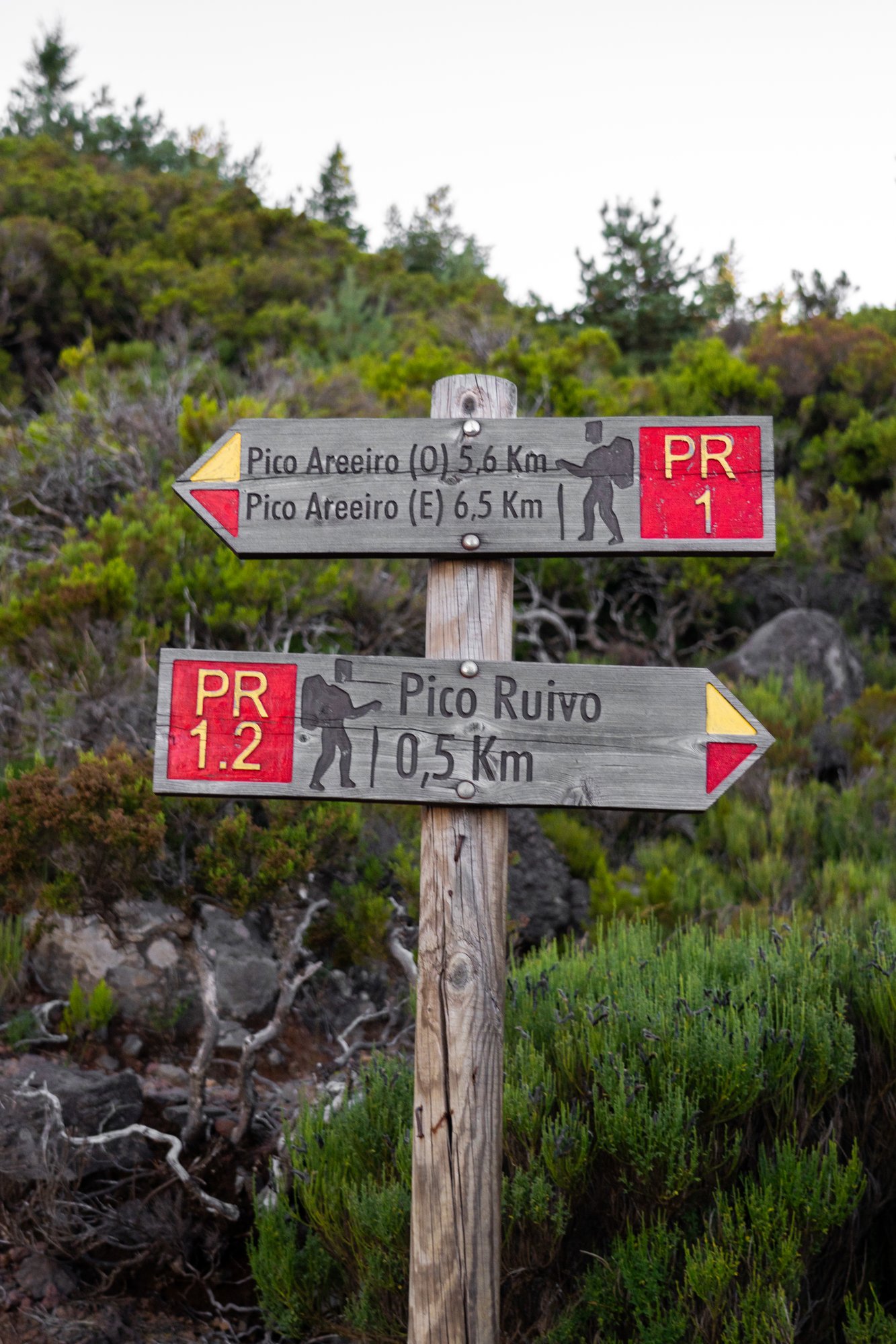 Madeira - 11