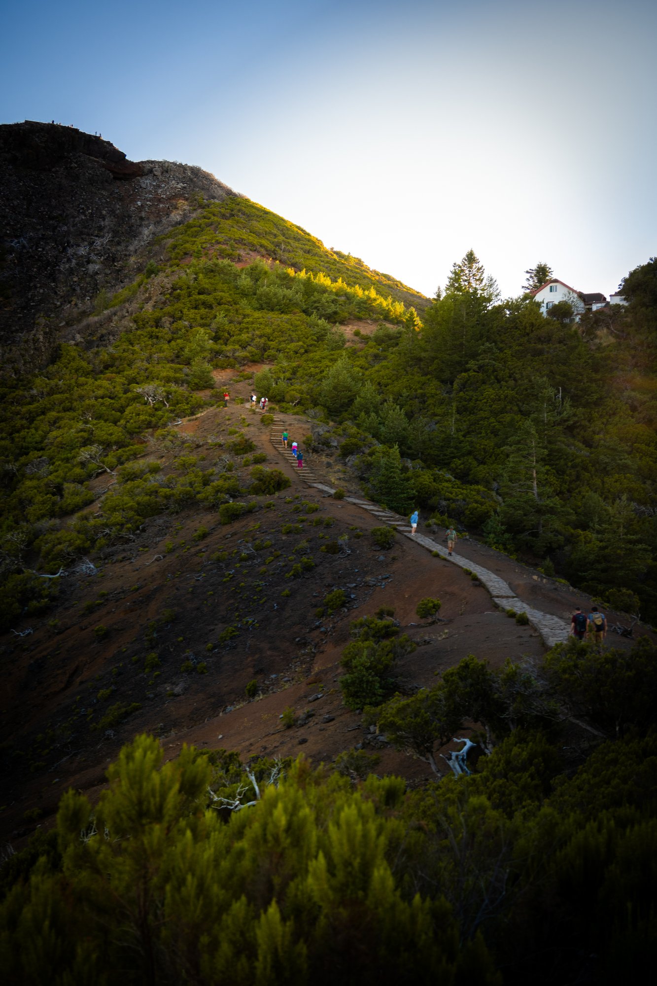Madeira - 12