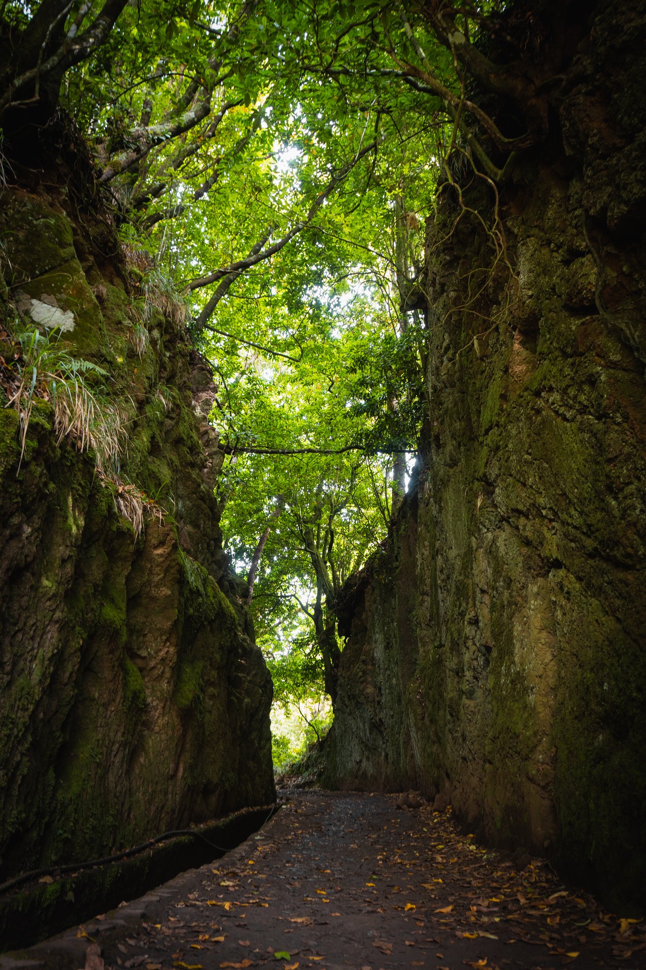 Madeira - 36
