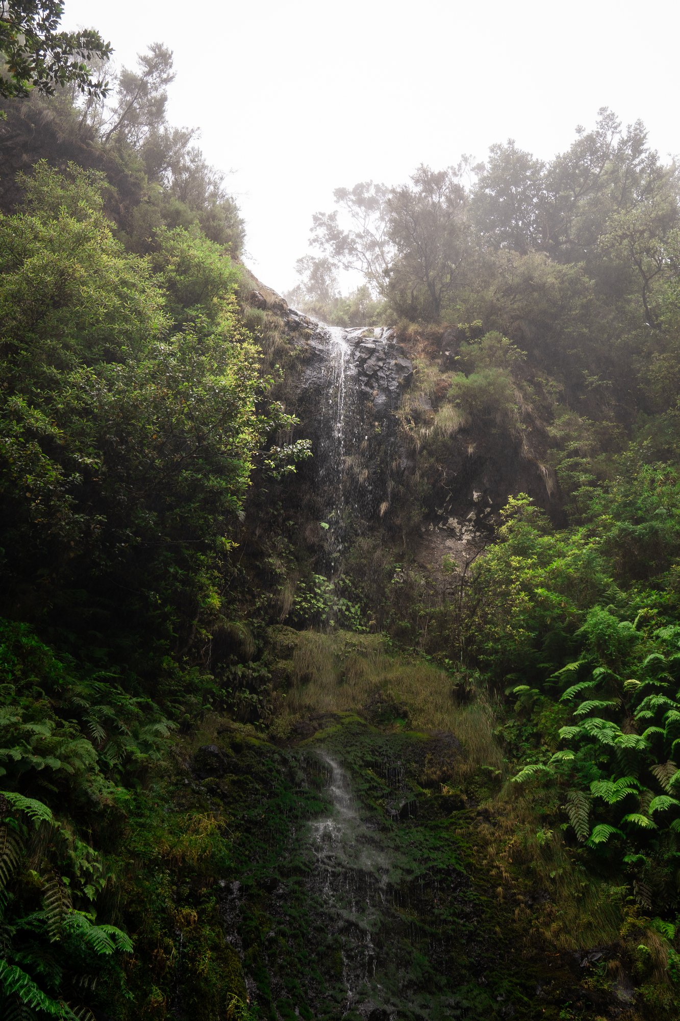 Madeira - 64