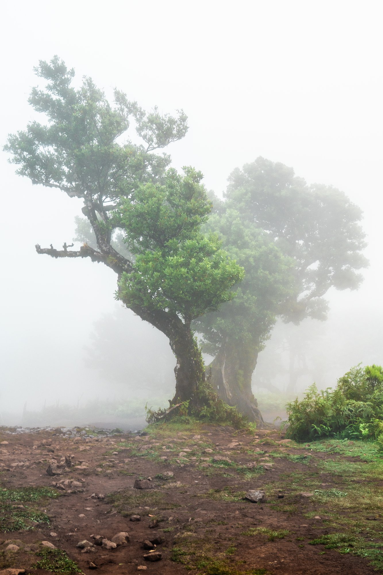 Madeira - 75