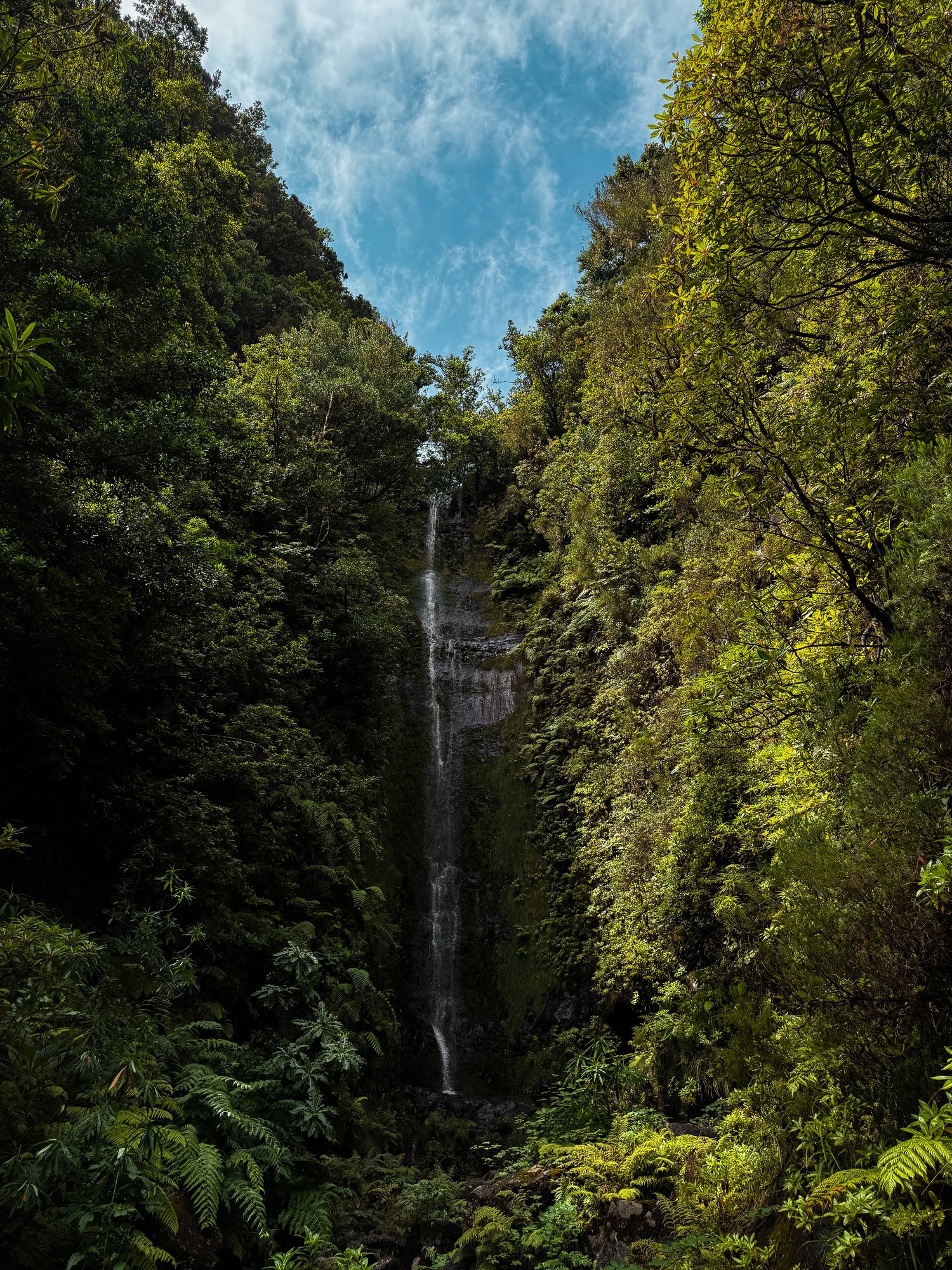Madeira - 90