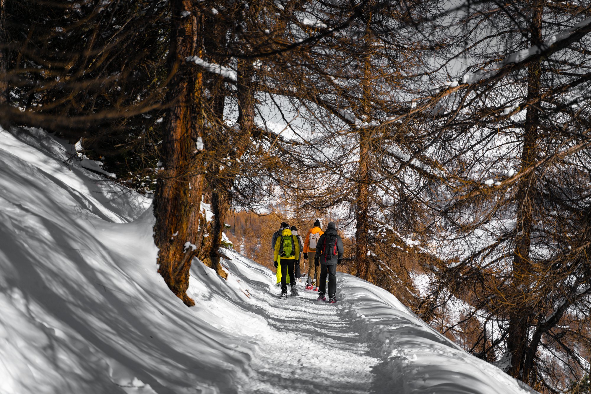 Sestriere - 6