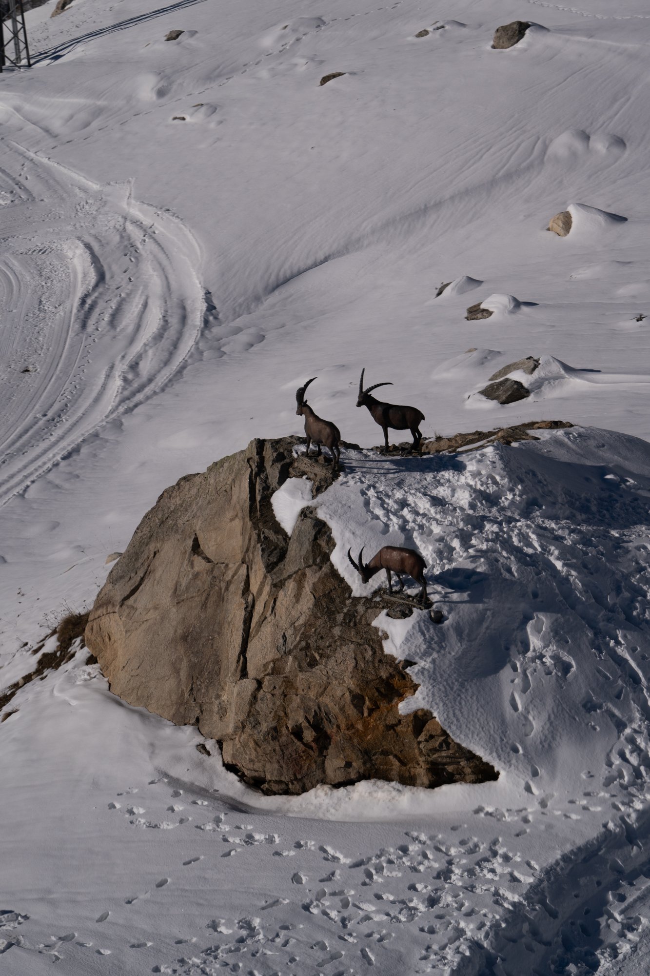 Sky Way - Montebianco - 1