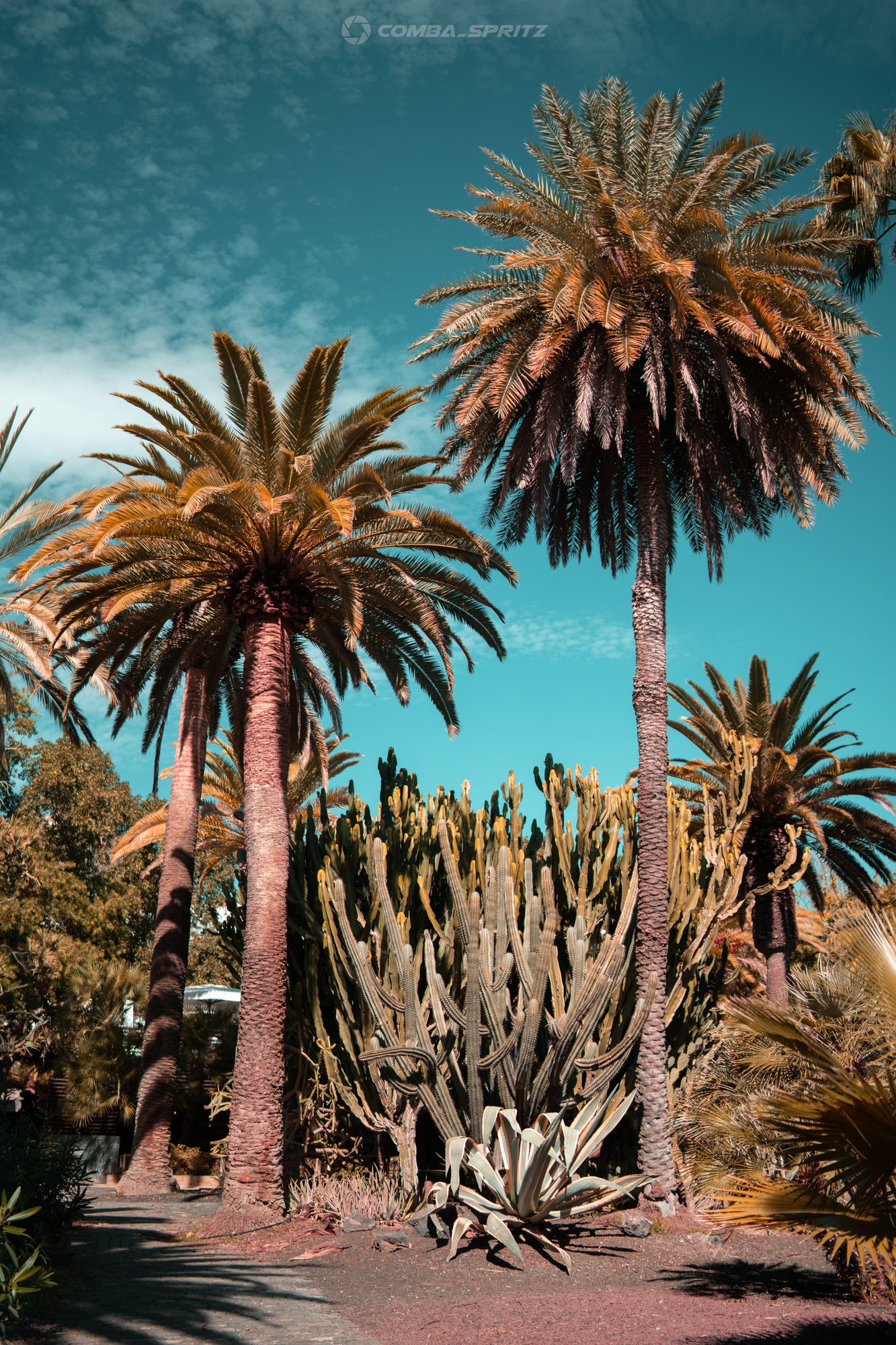 Tenerife - 5