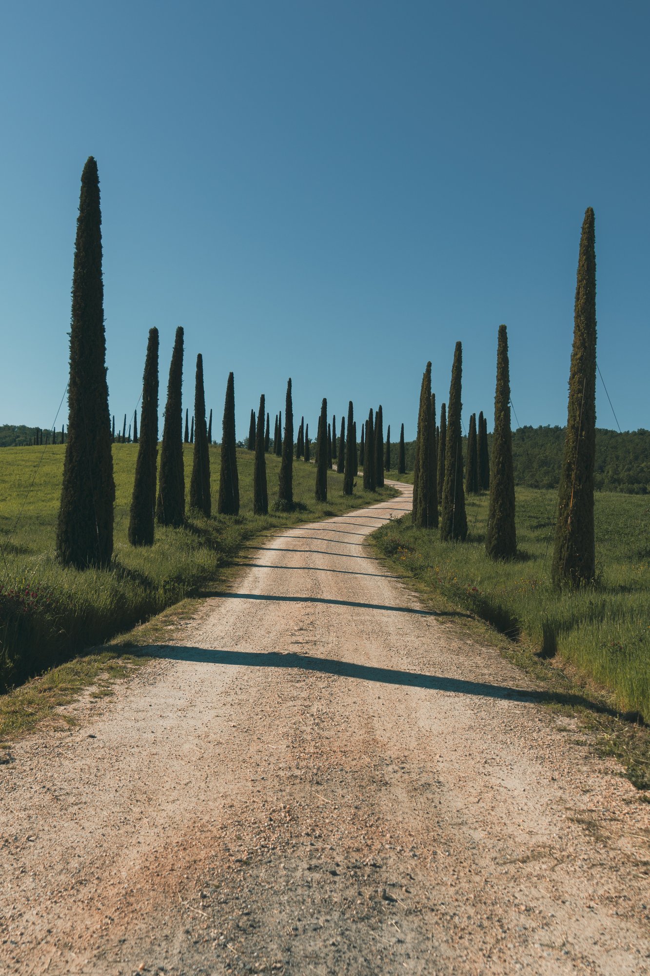 Travel in Tuscany - 68