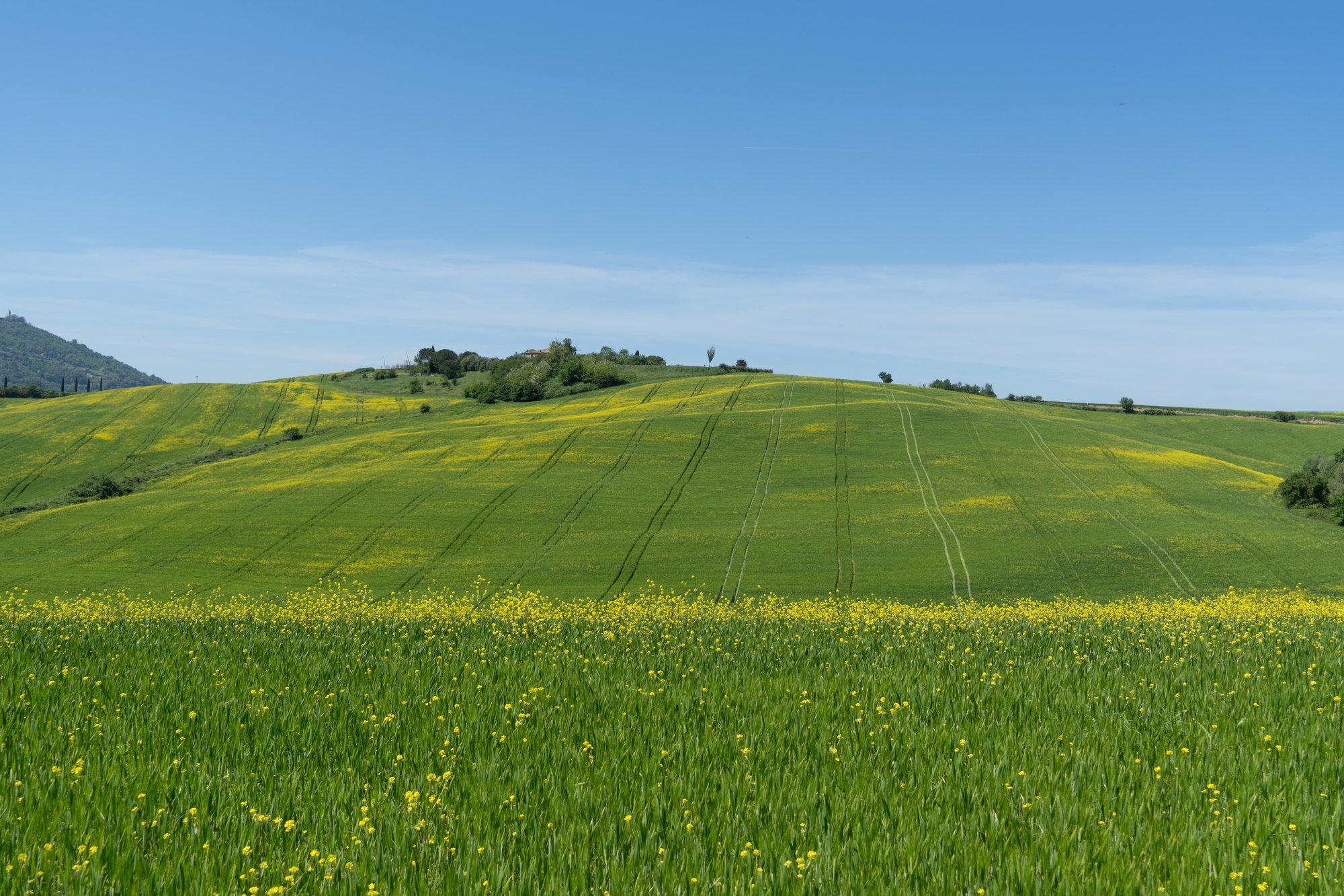 Travel in Tuscany - 94