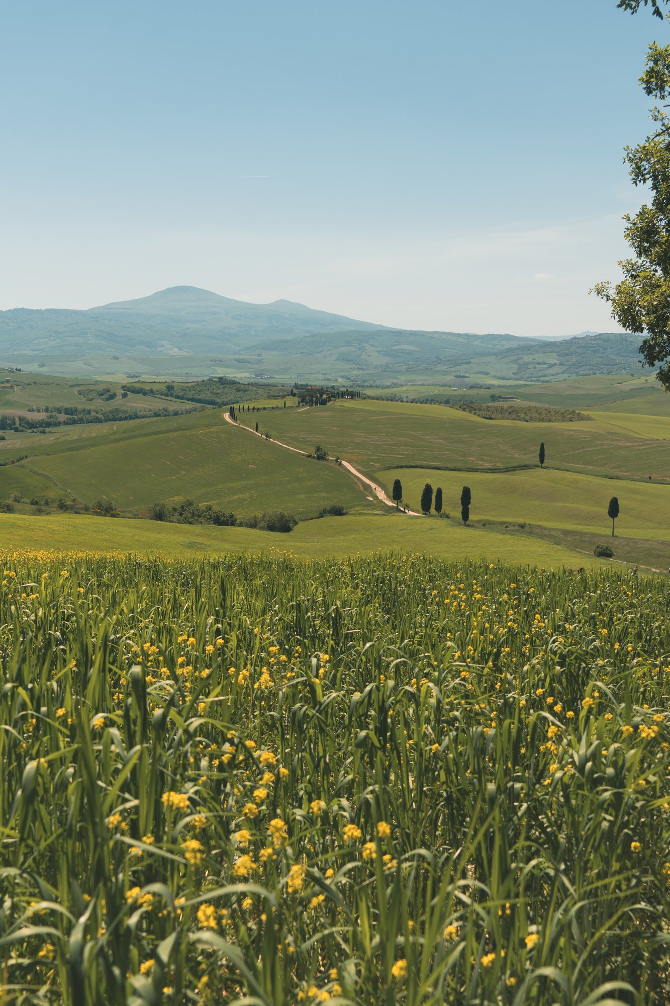 Travel in Tuscany - 100