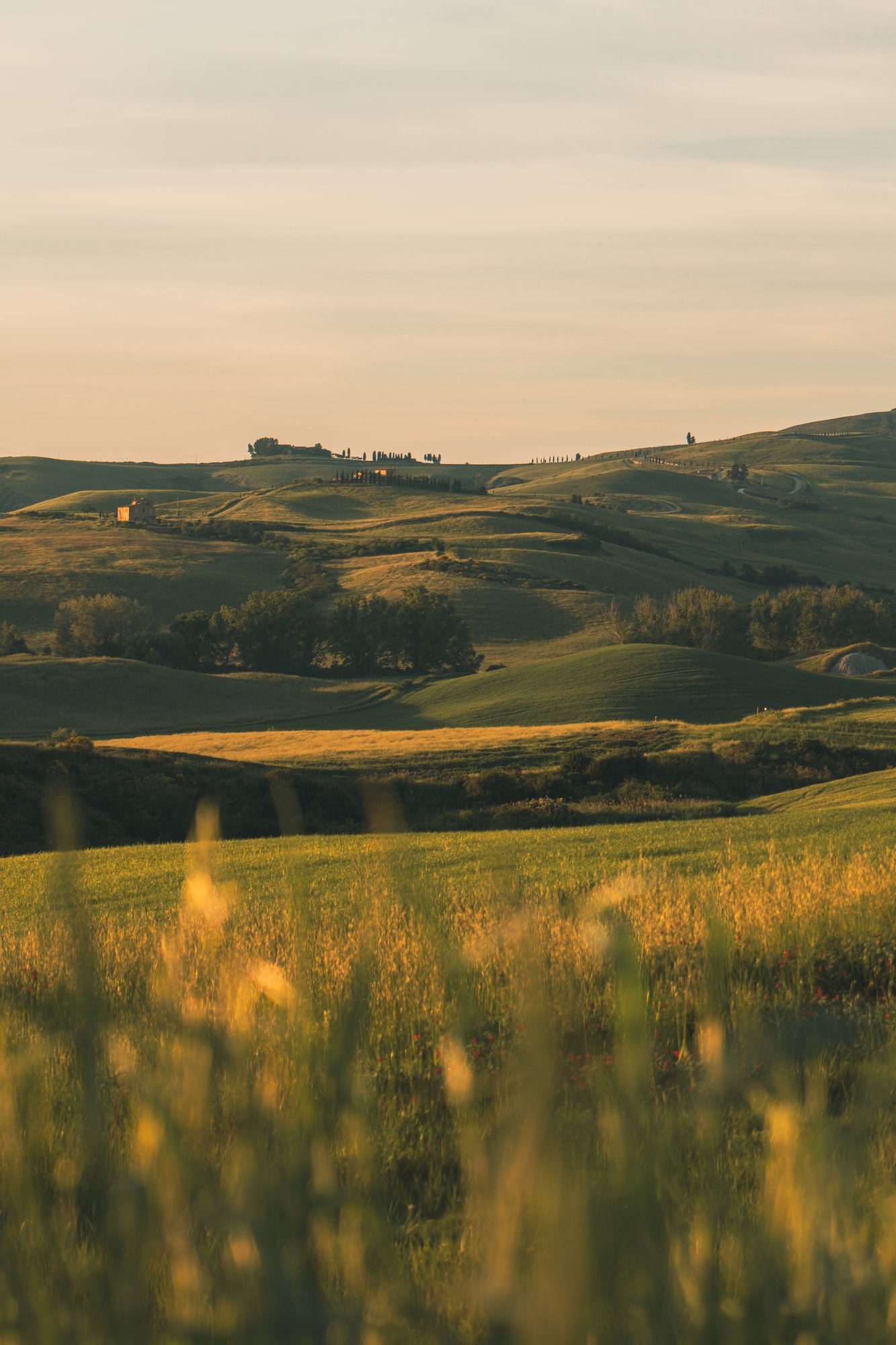 Travel in Tuscany - 130